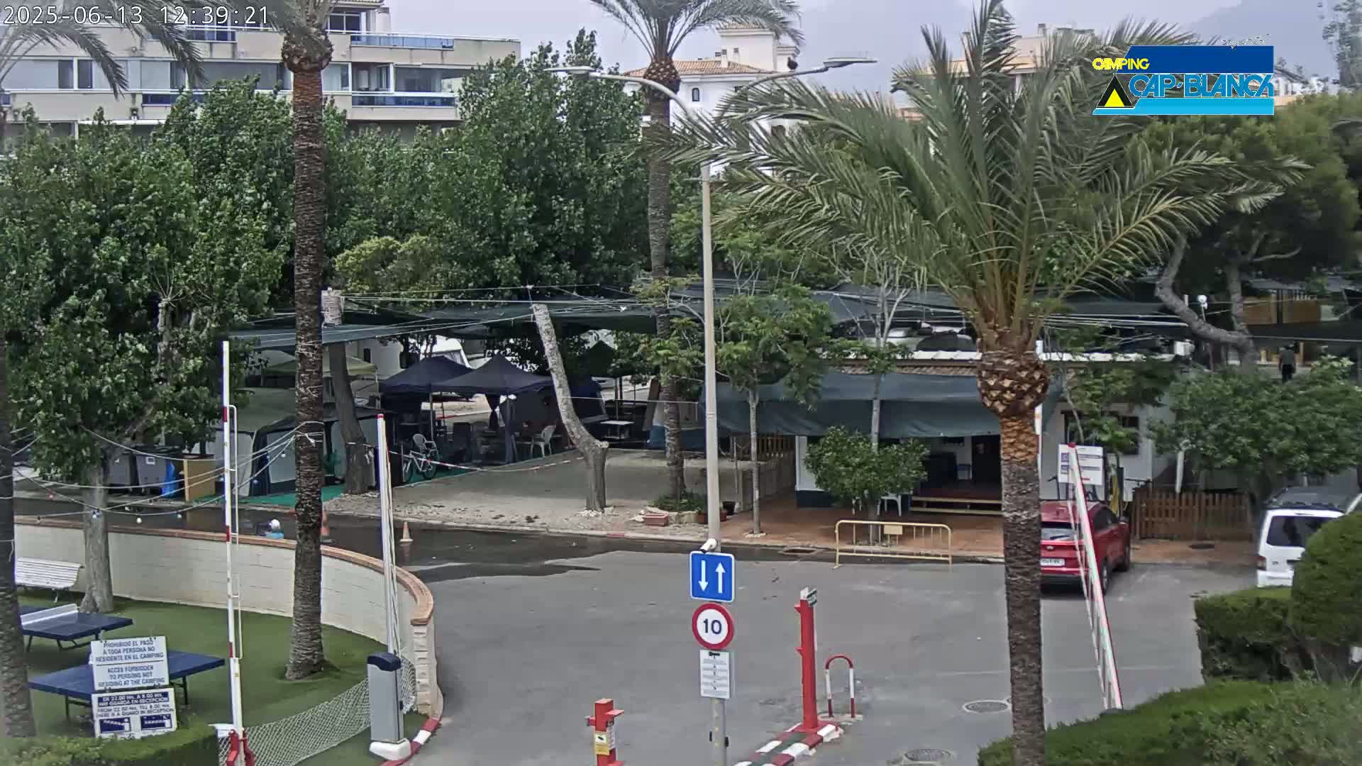 A parking lot and campsite with palm trees are seen under an overcast sky.