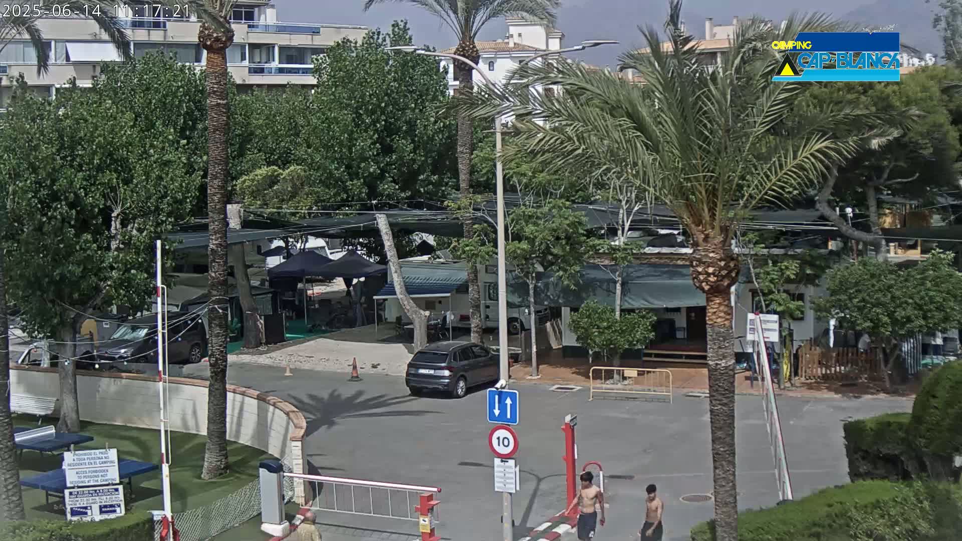 A sunny outdoor scene shows a parking lot with cars and RVs in a campground surrounded by palm trees and buildings.
