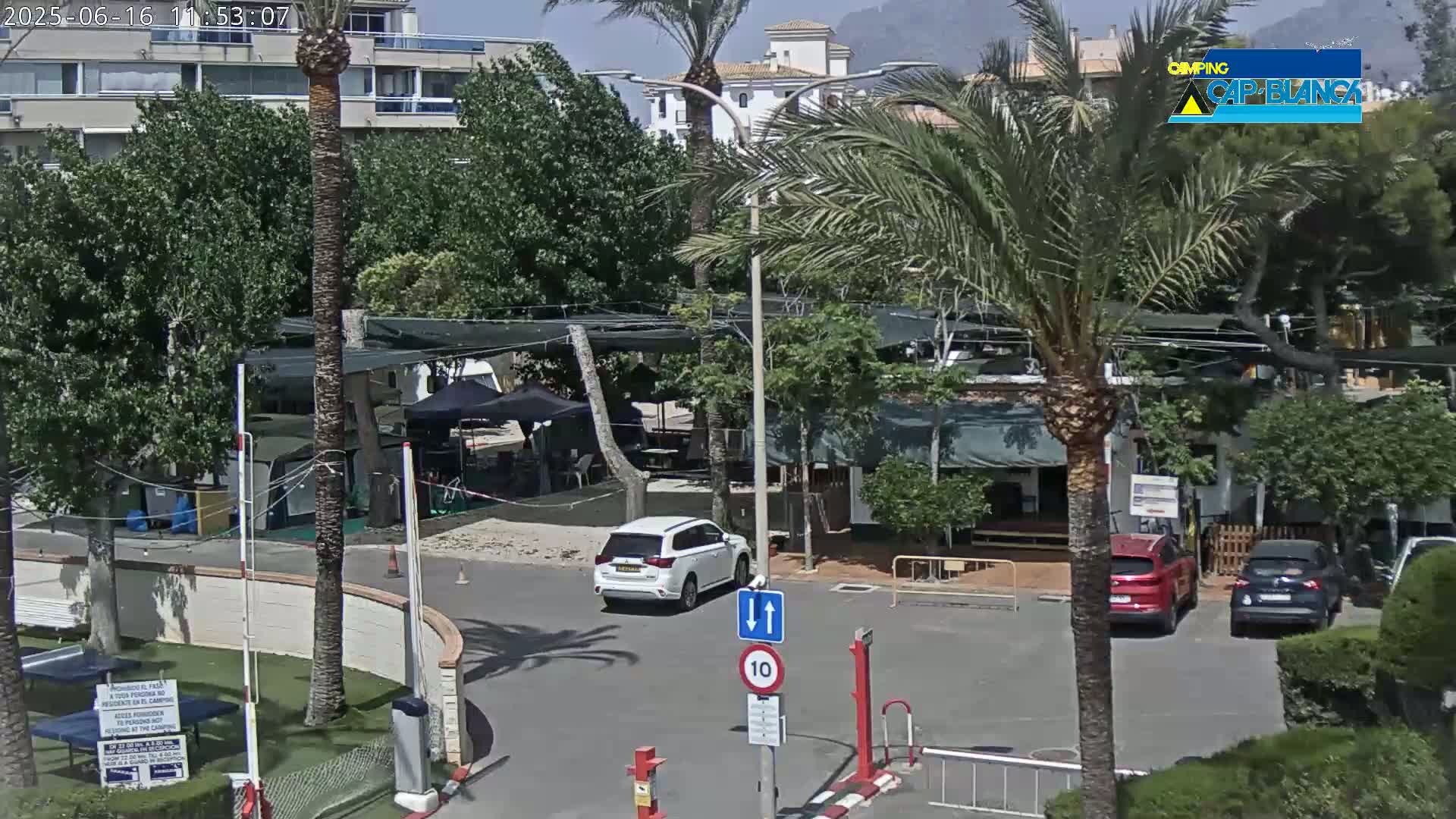 A sunny parking lot with several cars, surrounded by palm trees and buildings, is adjacent to a campground with tents and camper vans.