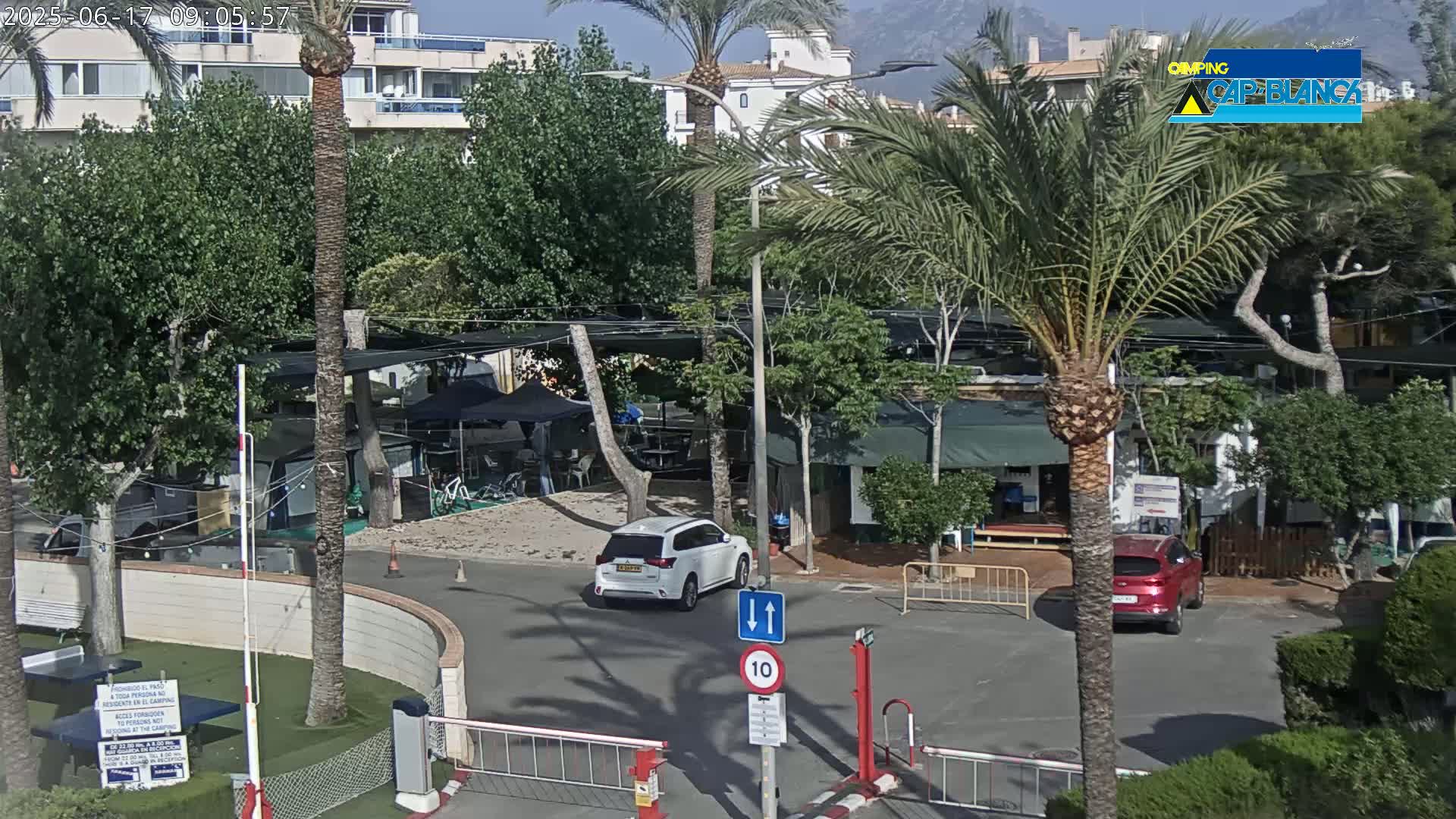 A sunny outdoor scene shows a parking lot with several cars and a campground with tents and palm trees, near a building.