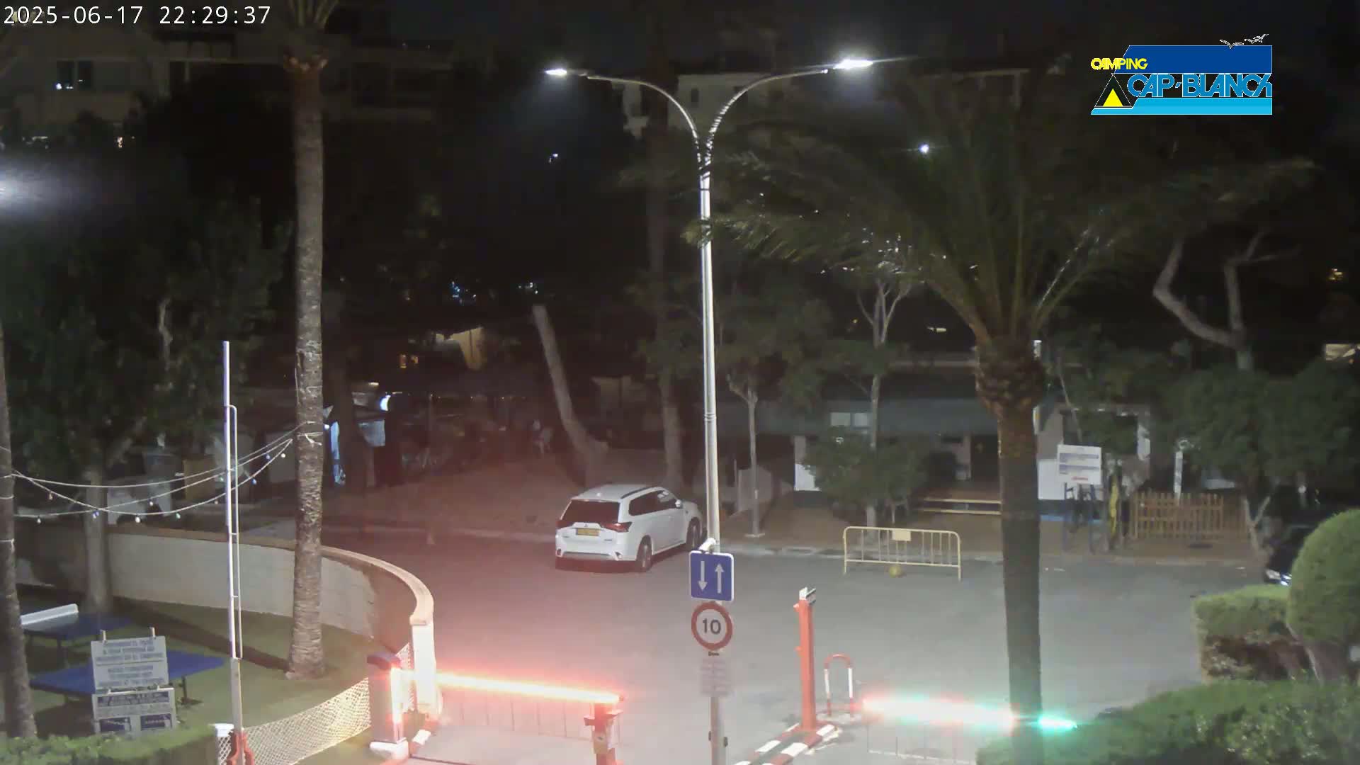 A white SUV is parked at night in a paved area surrounded by palm trees and low light.