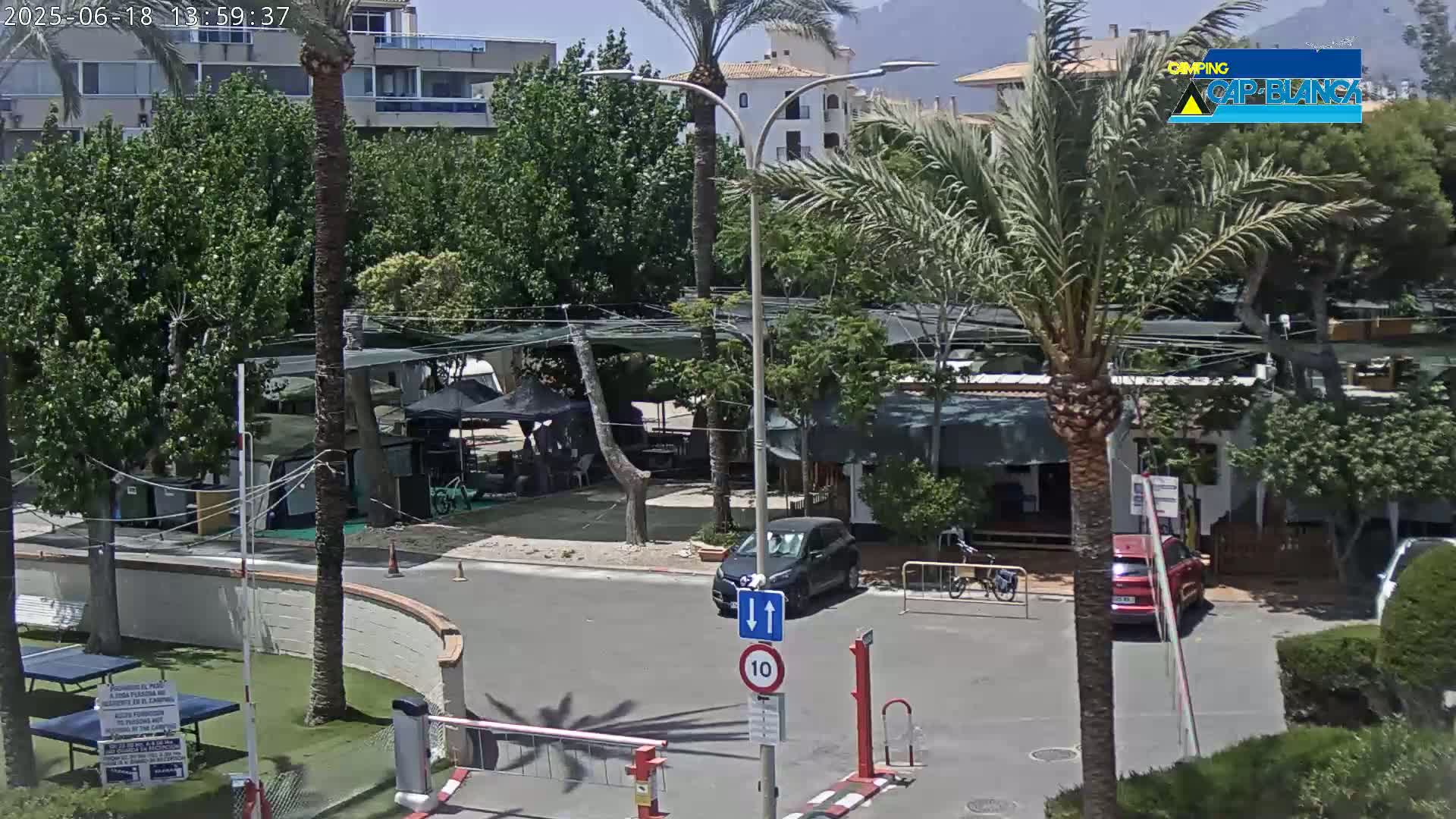 A sunny outdoor scene shows a campground with cars, palm trees, and buildings in the background.