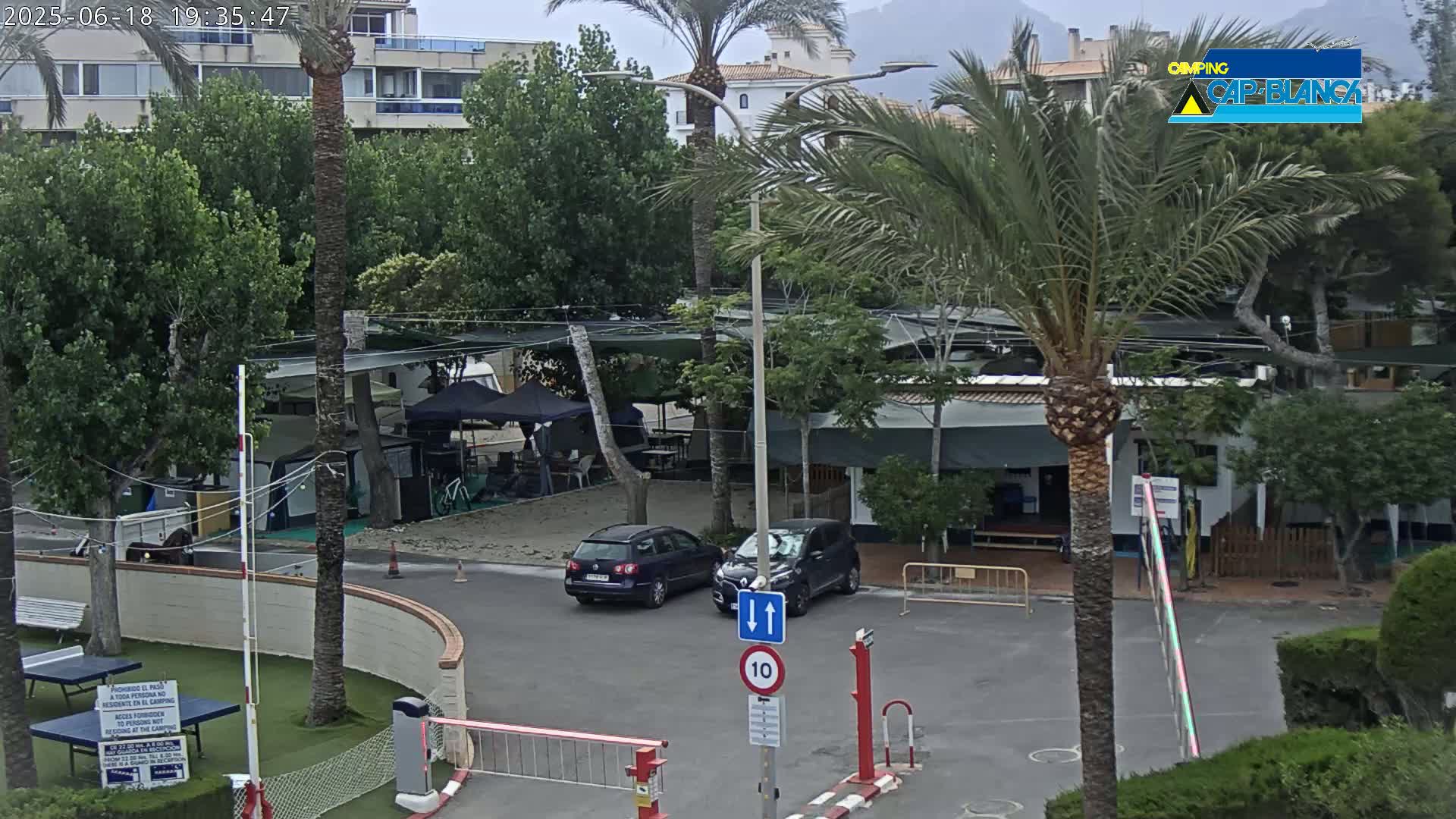 An overcast day at a campsite with palm trees, several tents and RVs, two cars in a parking lot, and a speed limit sign.