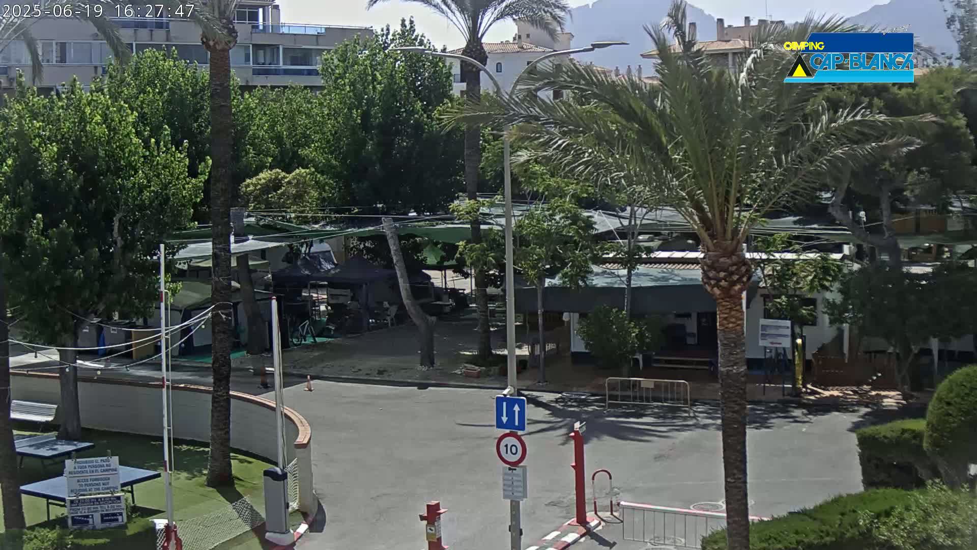 A paved area with numerous tents and small buildings is surrounded by lush green trees and palm trees under a sunny sky.