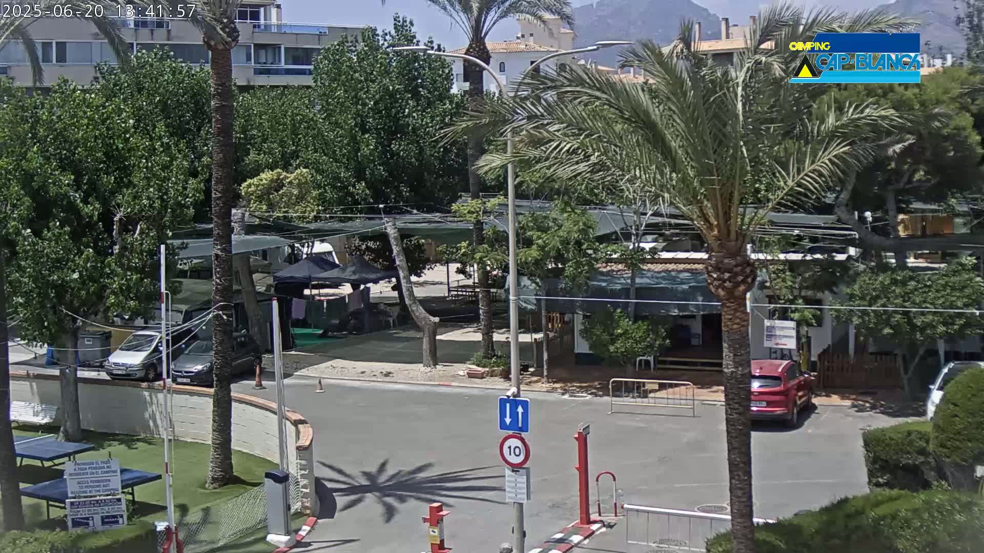 An outdoor scene on a sunny day shows a parking lot with several cars, a few palm trees, and some buildings partially visible behind lush green trees.