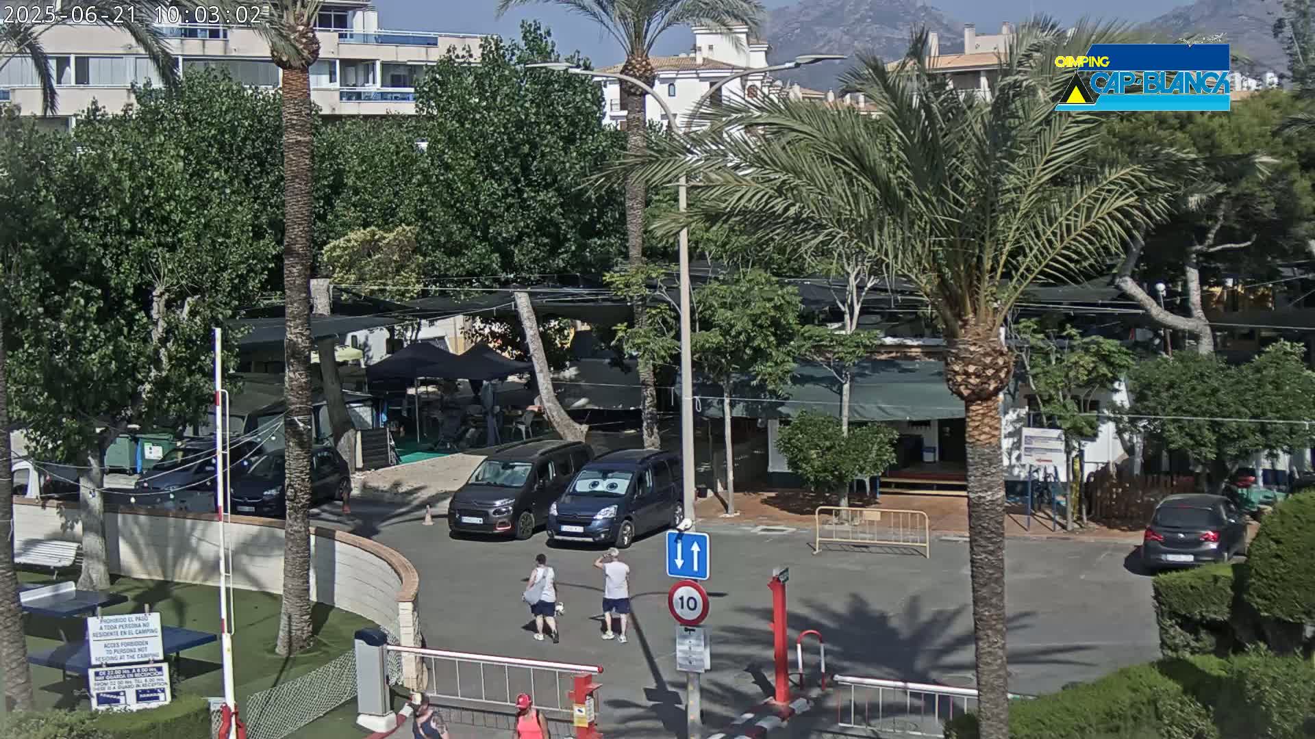 A sunny outdoor scene shows a paved area with parked cars, several palm trees, and some people walking near buildings and what appears to be a campsite.