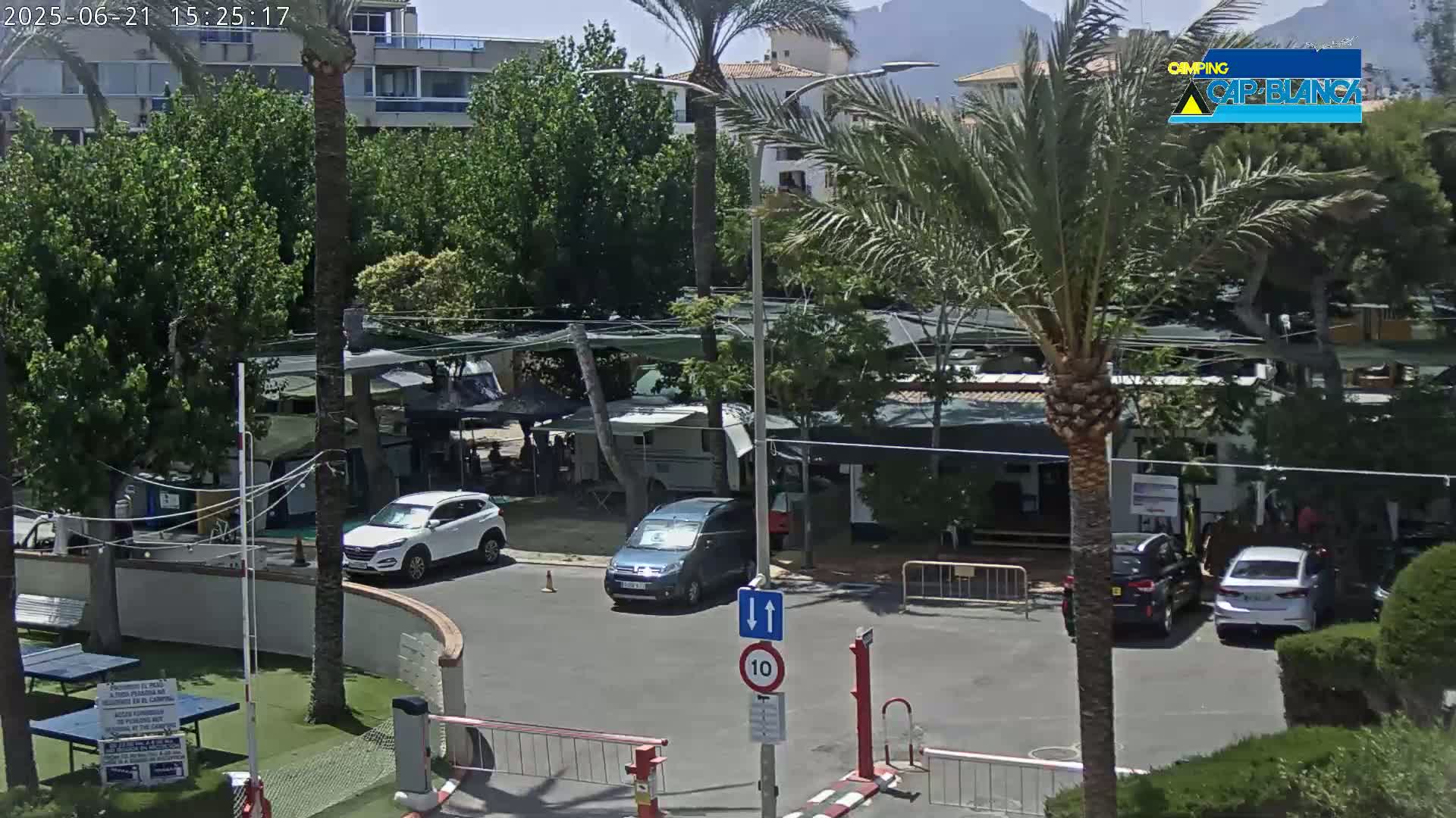 A sunny outdoor scene shows a parking lot with several cars and RVs amongst lush green trees and palm trees near a building.