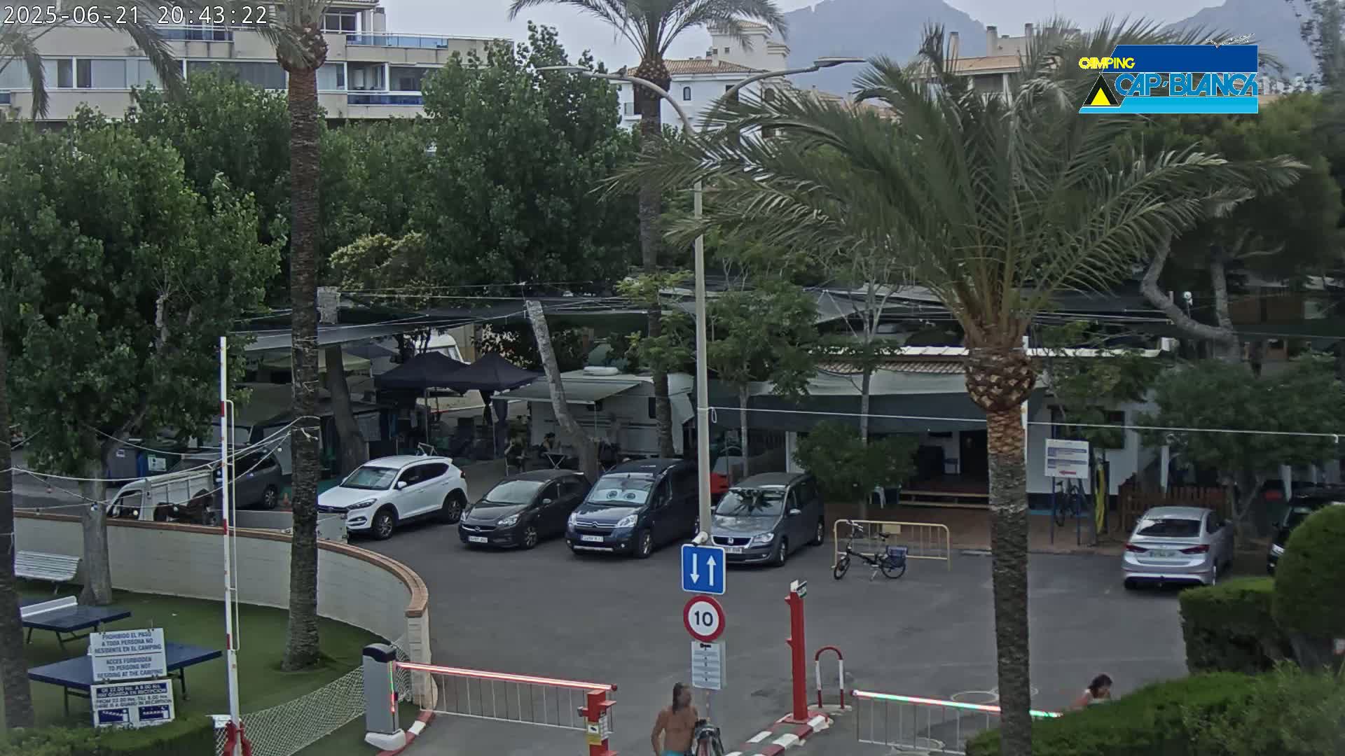 An overcast day reveals a parking lot with several cars and campervans situated in a campground near buildings and palm trees.