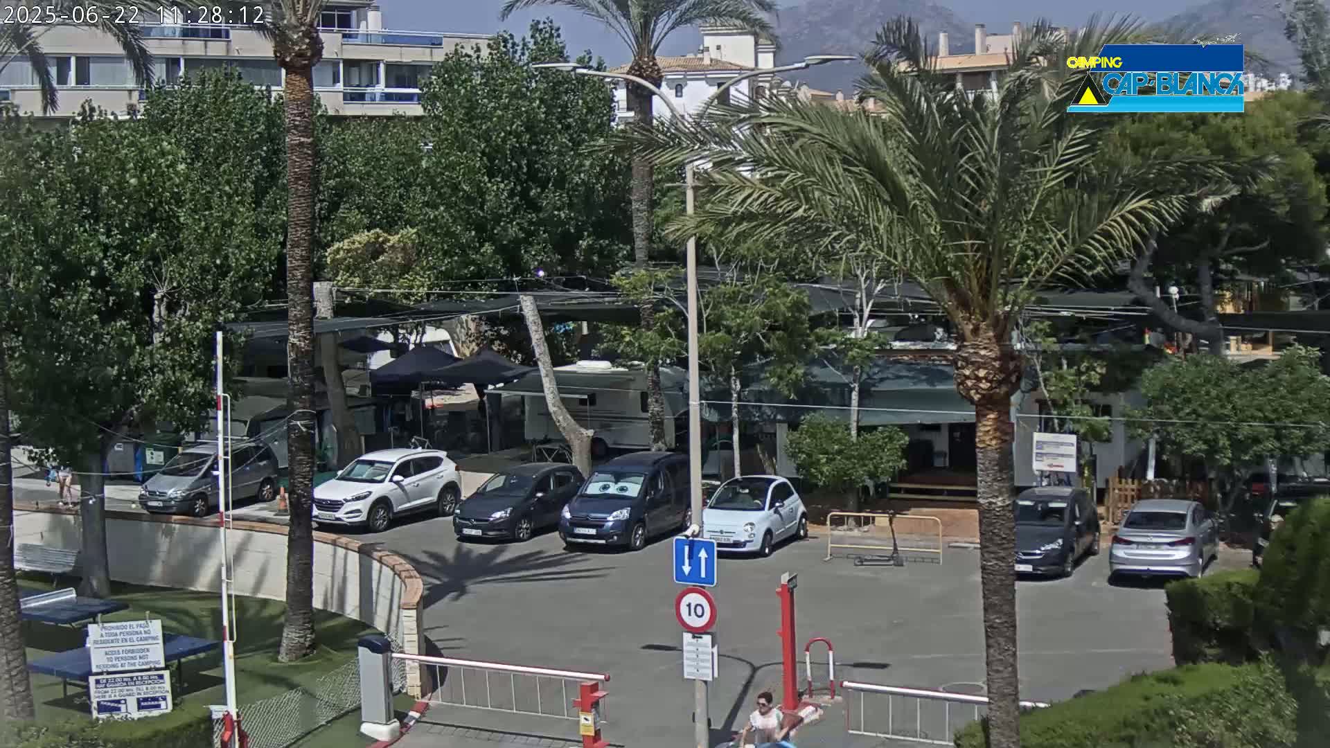 A sunny parking lot with several cars and palm trees, located near buildings and what appears to be a campsite.