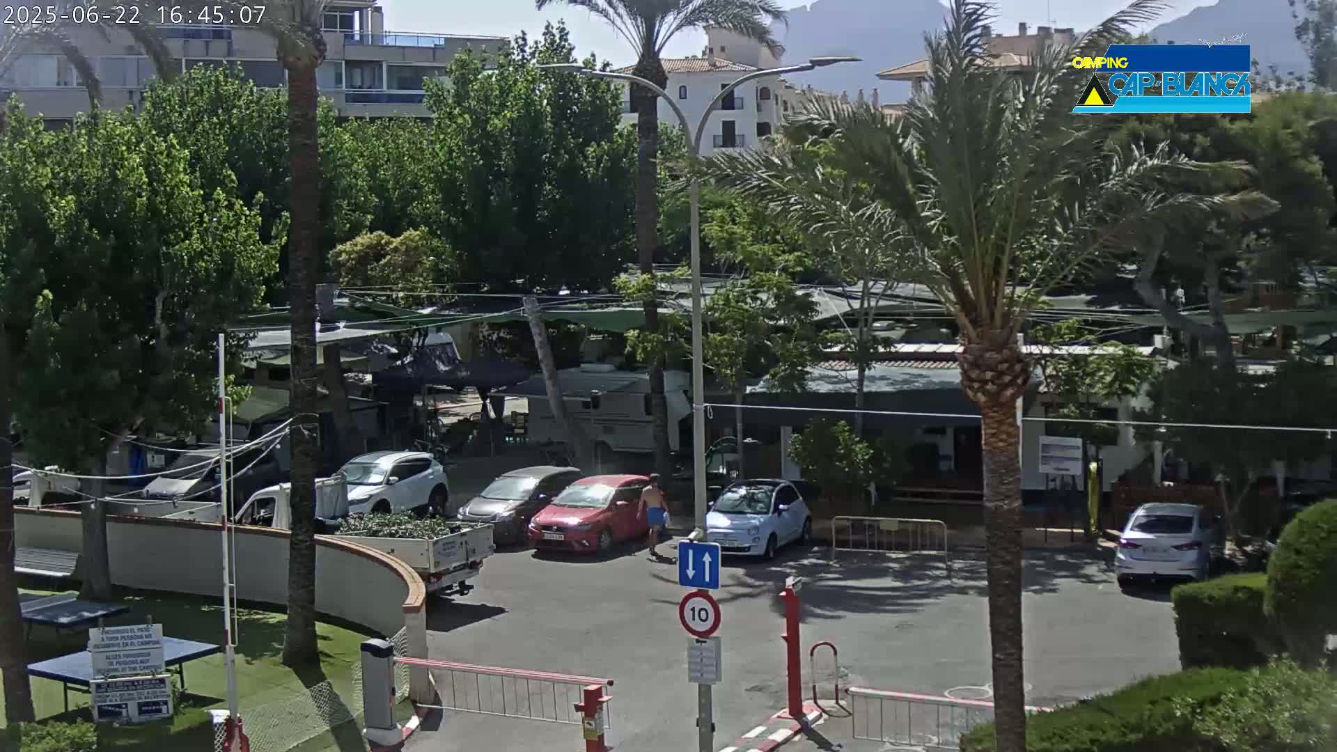 A sunny parking lot with several cars and a camper van is surrounded by lush green trees and buildings under a clear sky.