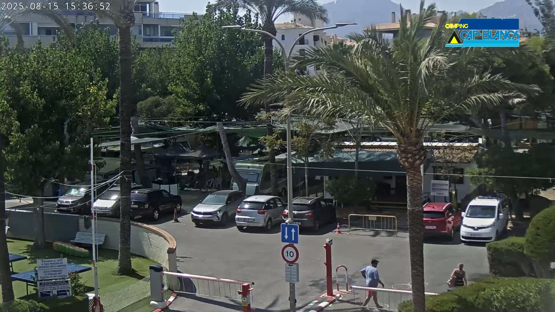 A sunny outdoor scene shows a street with parked cars, pedestrians, and cyclists amongst palm trees and buildings.