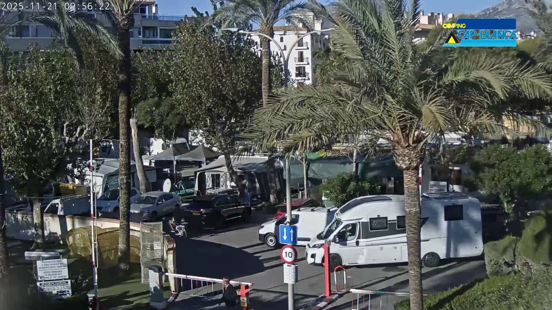 Under a clear blue sky and bright sunshine, the image captures a busy caravan park entrance featuring several campervans, cars, and temporary shelters interspersed among numerous palm and green trees, with distant buildings and mountains framing the scene.