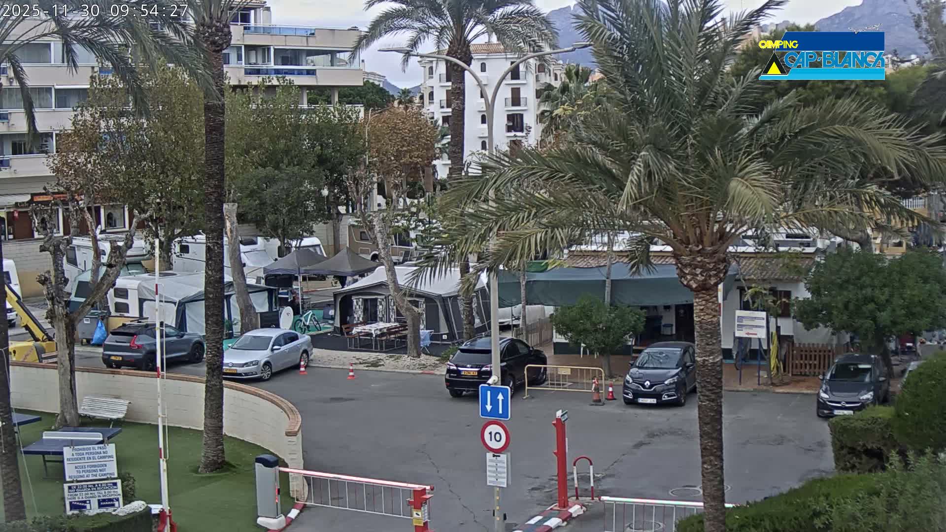 Under an overcast sky, an outdoor camping ground is bustling with numerous tents, caravans, and parked cars, set among palm trees with apartment buildings and distant mountains in the background.
