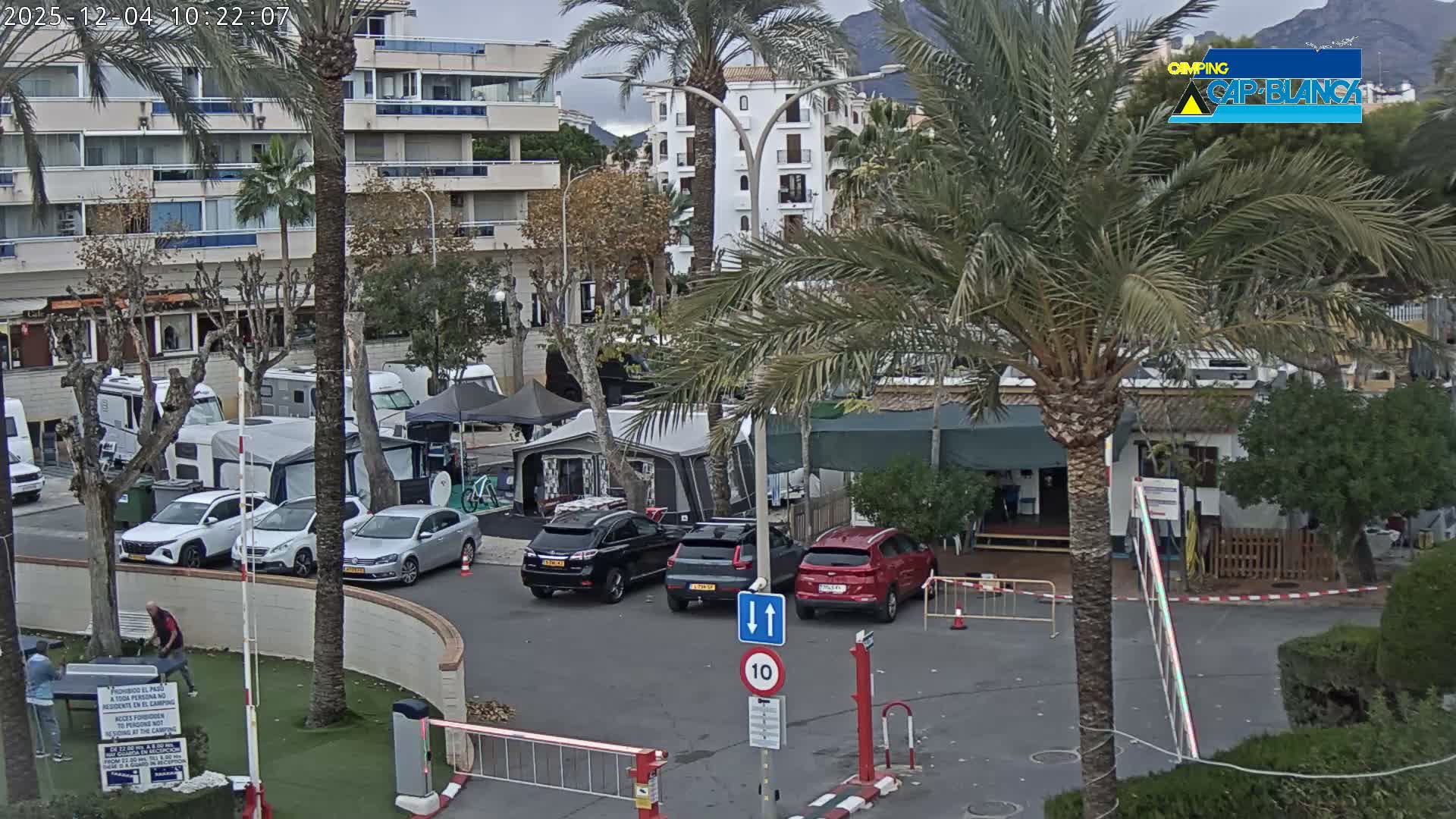 An overcast morning reveals a busy outdoor parking and camping area filled with cars, RVs, and tents, interspersed with palm trees and set against a backdrop of apartment buildings and distant mountains under a cloudy sky.