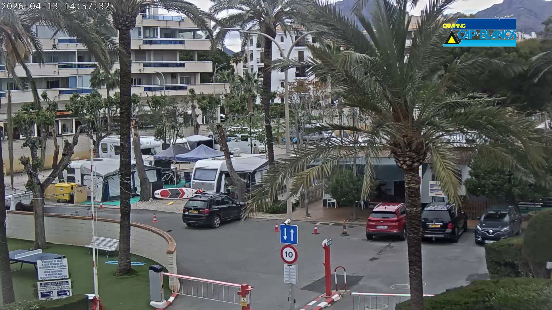 An overcast morning reveals a busy outdoor parking and camping area filled with cars, RVs, and tents, interspersed with palm trees and set against a backdrop of apartment buildings and distant mountains under a cloudy sky.
