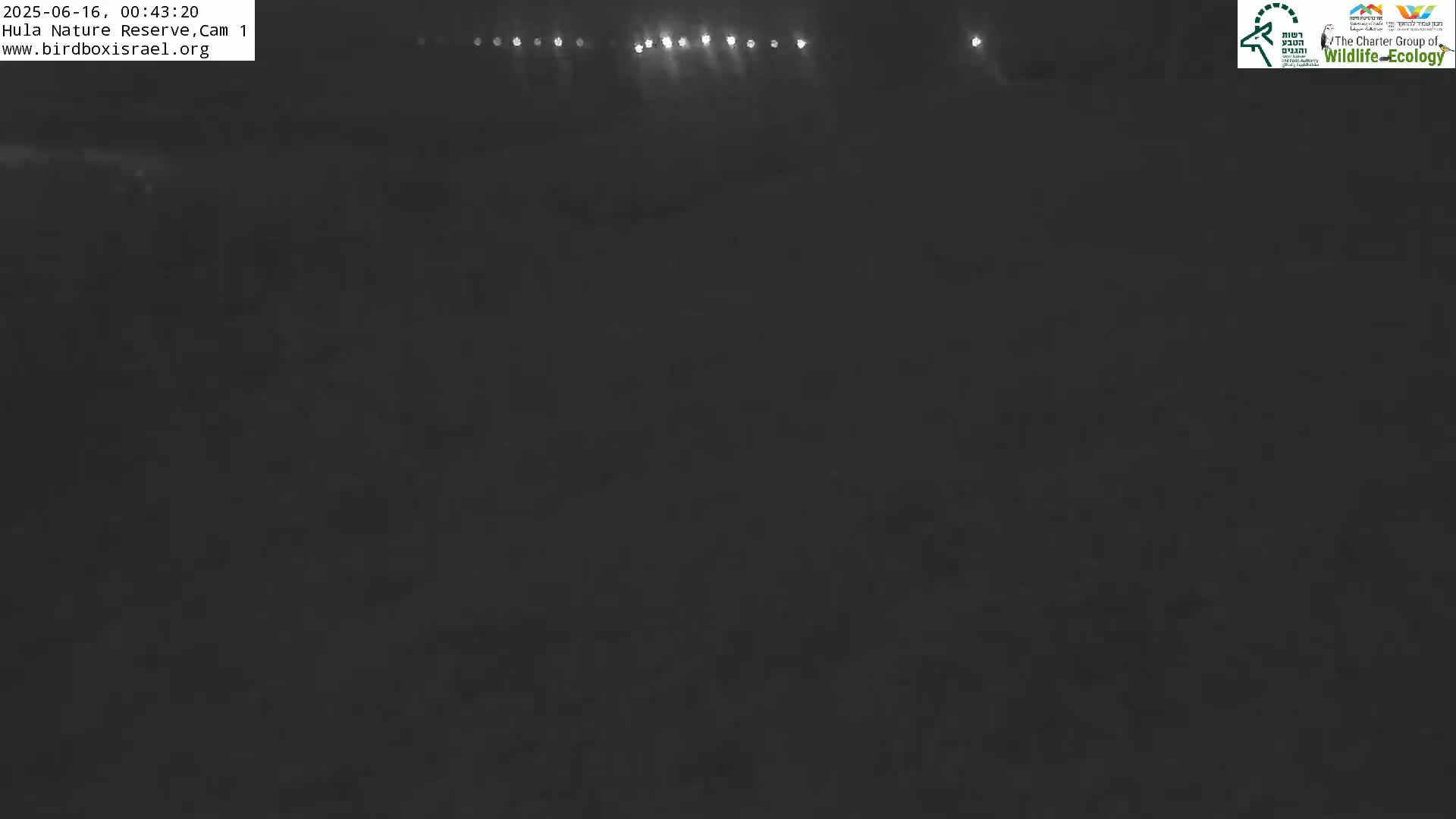 Hula Nature Reserve Bird Life & Israel-Syria Border Golan Hills View Live Cam - Yesud Hamaala, Northern, Israel