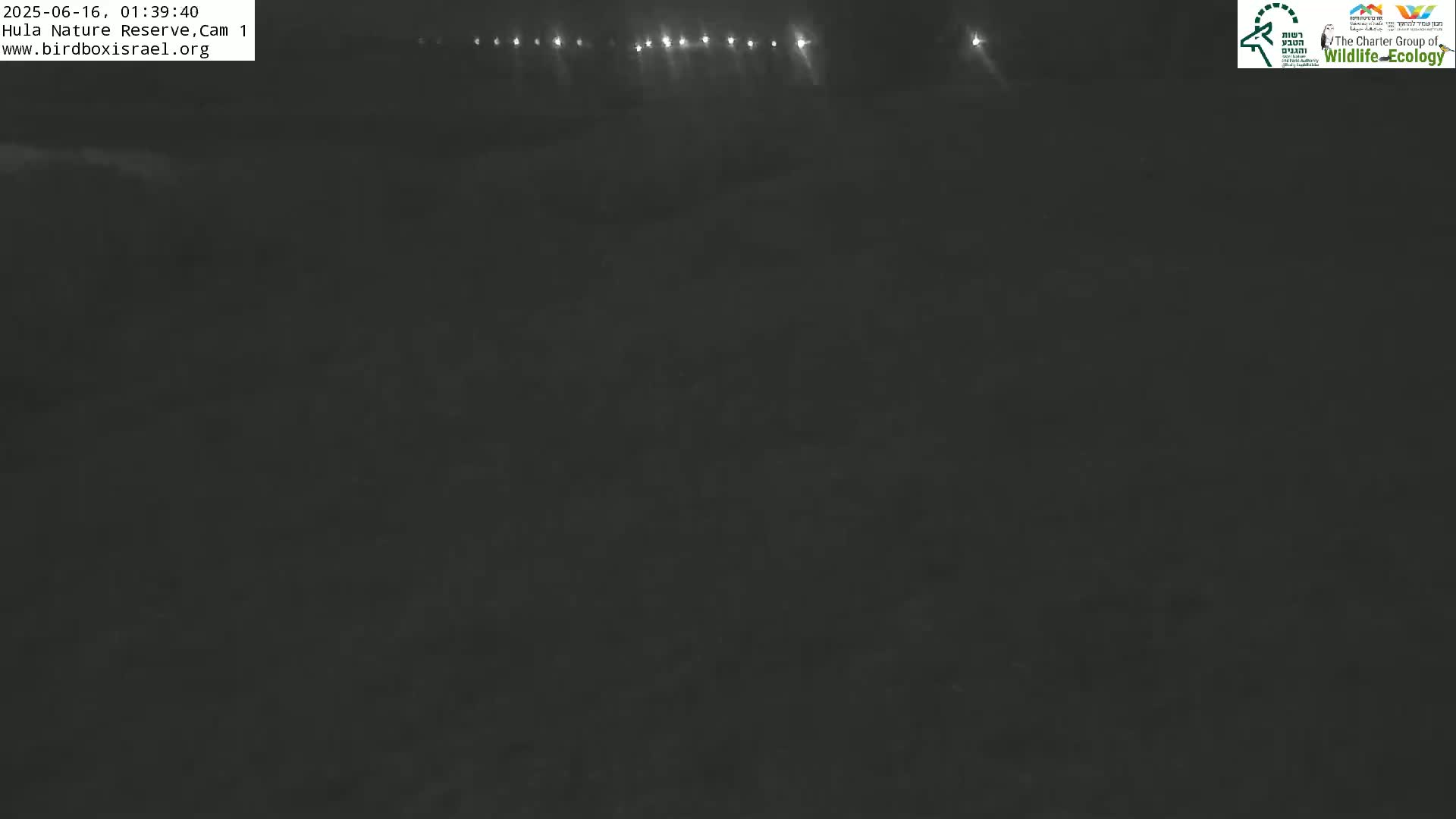 Hula Nature Reserve Bird Life & Israel-Syria Border Golan Hills View Live Cam - Yesud Hamaala, Northern, Israel