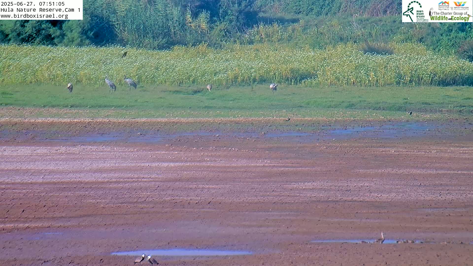 Hula Nature Reserve Bird Life & Israel-Syria Border Golan Hills View Live Cam - Yesud Hamaala, Northern, Israel