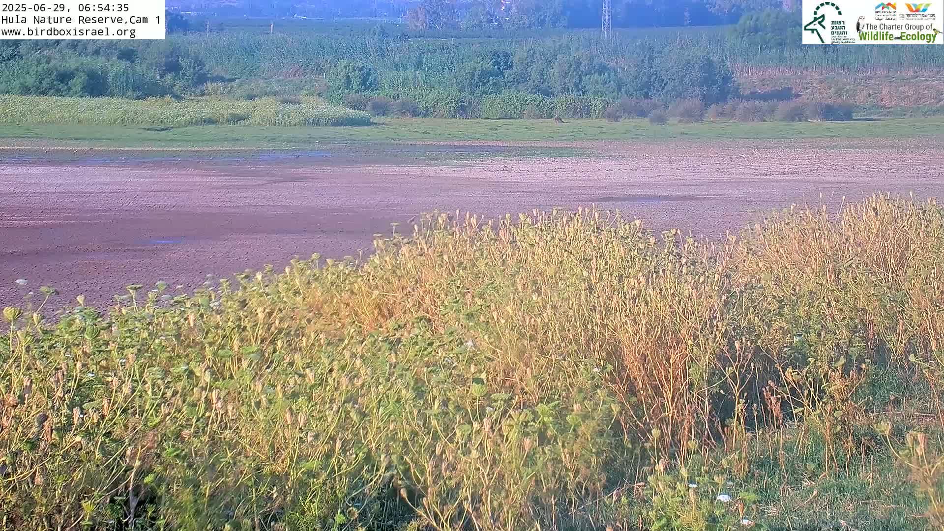 Hula Nature Reserve Bird Life & Israel-Syria Border Golan Hills View Live Cam - Yesud Hamaala, Northern, Israel