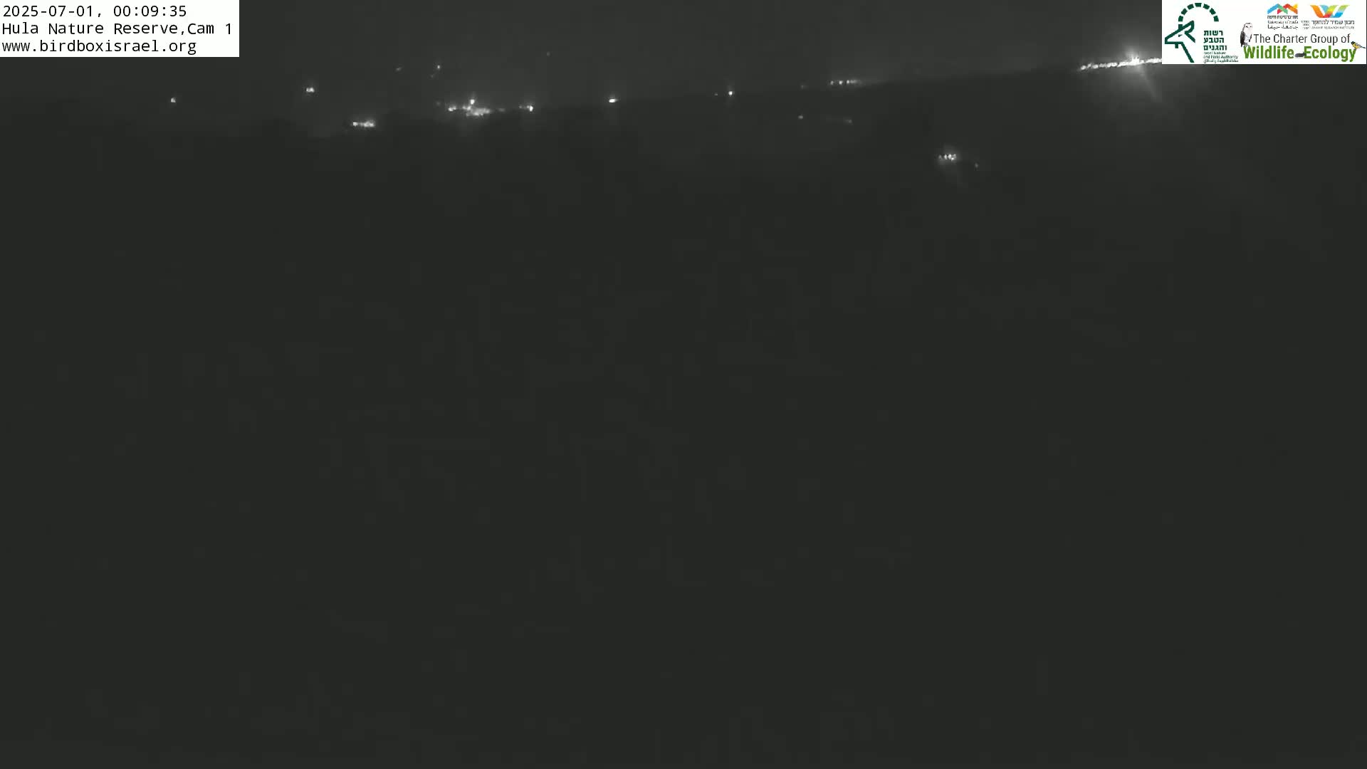 Hula Nature Reserve Bird Life & Israel-Syria Border Golan Hills & Hermon Mountain/Jabal al Shaykh View Live Cam - Yesud Hamaala, Northern, Israel