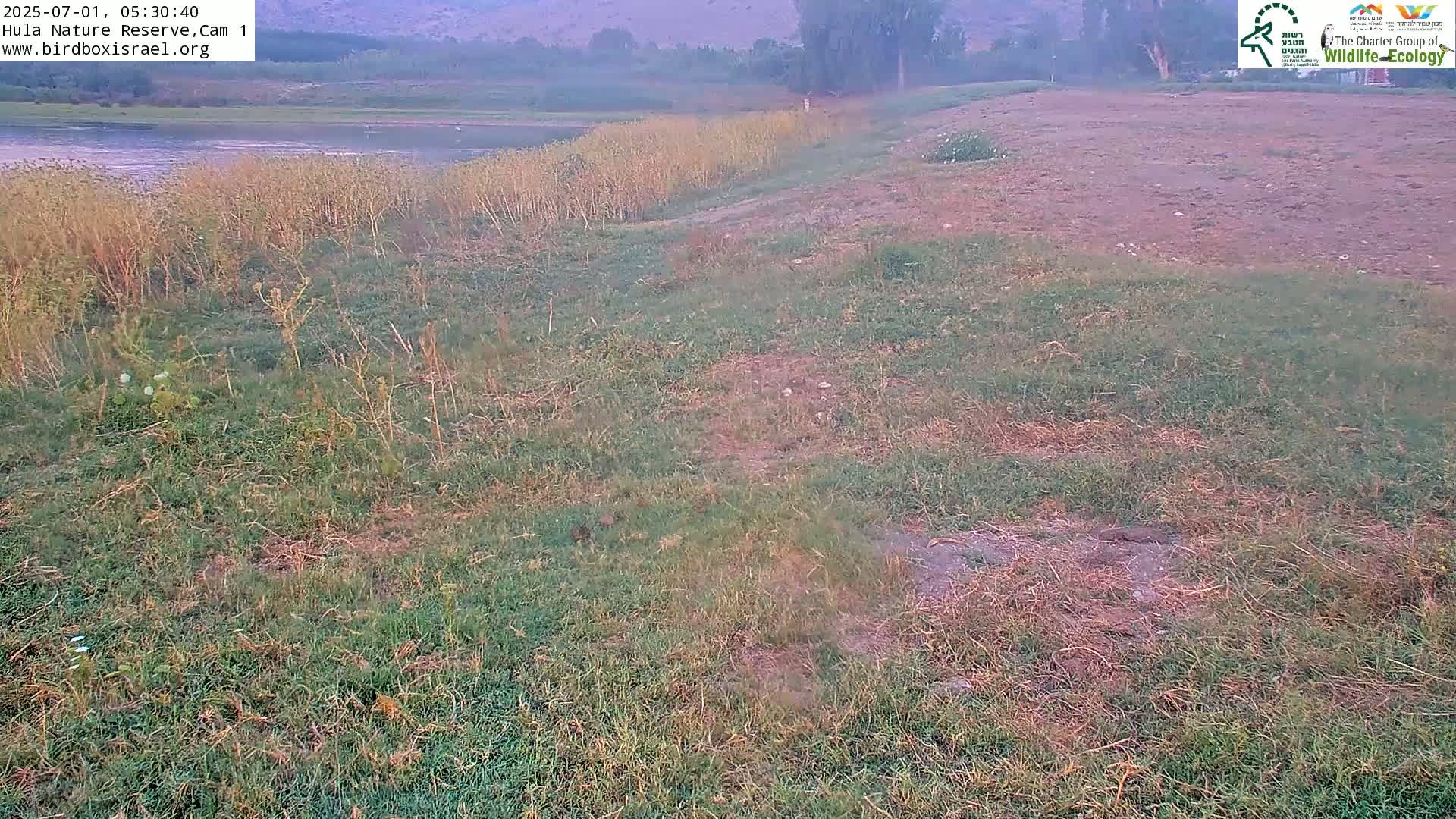 Hula Nature Reserve Bird Life & Israel-Syria Border Golan Hills & Hermon Mountain/Jabal al Shaykh View Live Cam - Yesud Hamaala, Northern, Israel
