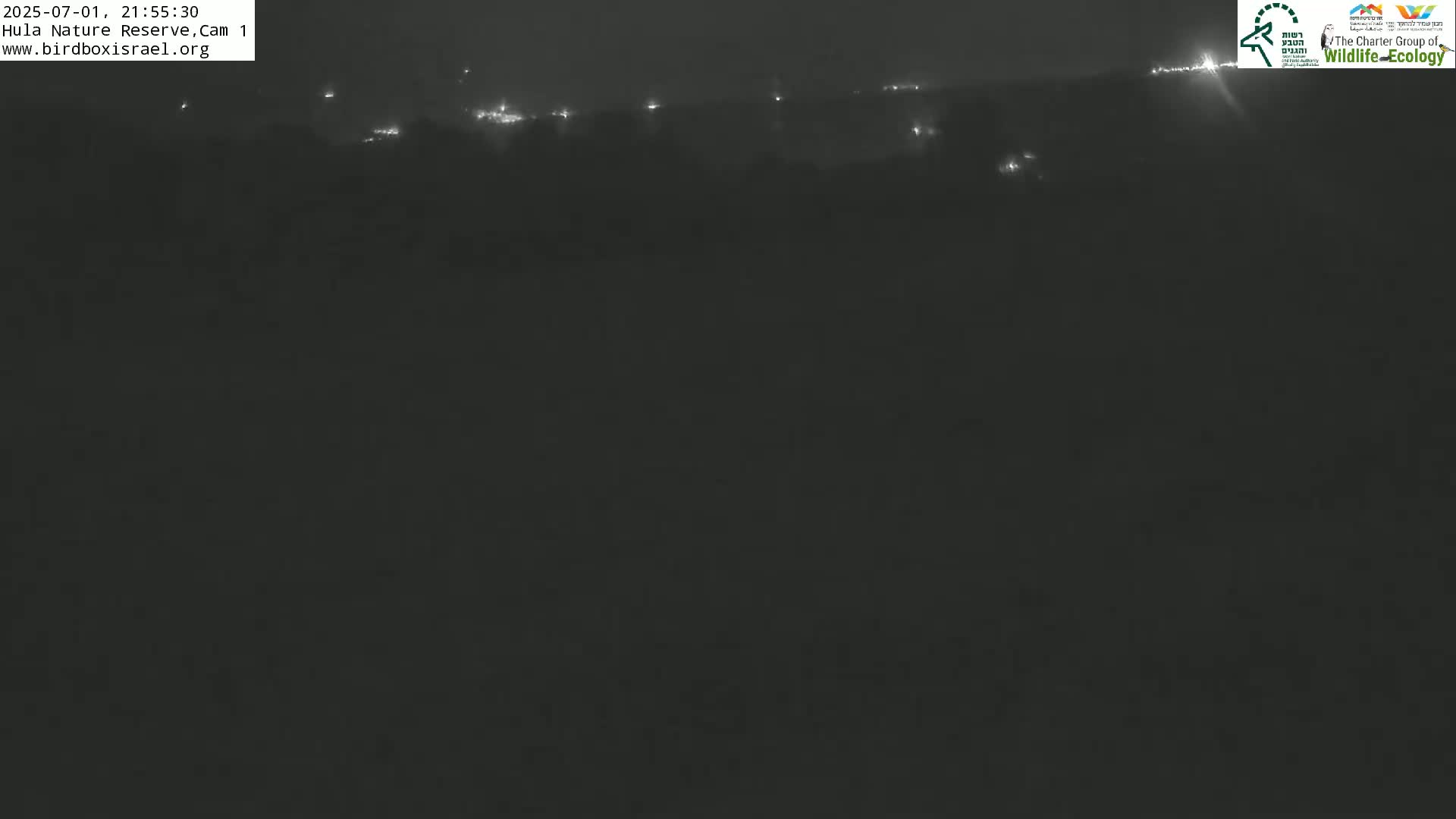 Hula Nature Reserve Bird Life & Israel-Syria Border Golan Hills & Hermon Mountain/Jabal al Shaykh View Live Cam - Yesud Hamaala, Northern, Israel