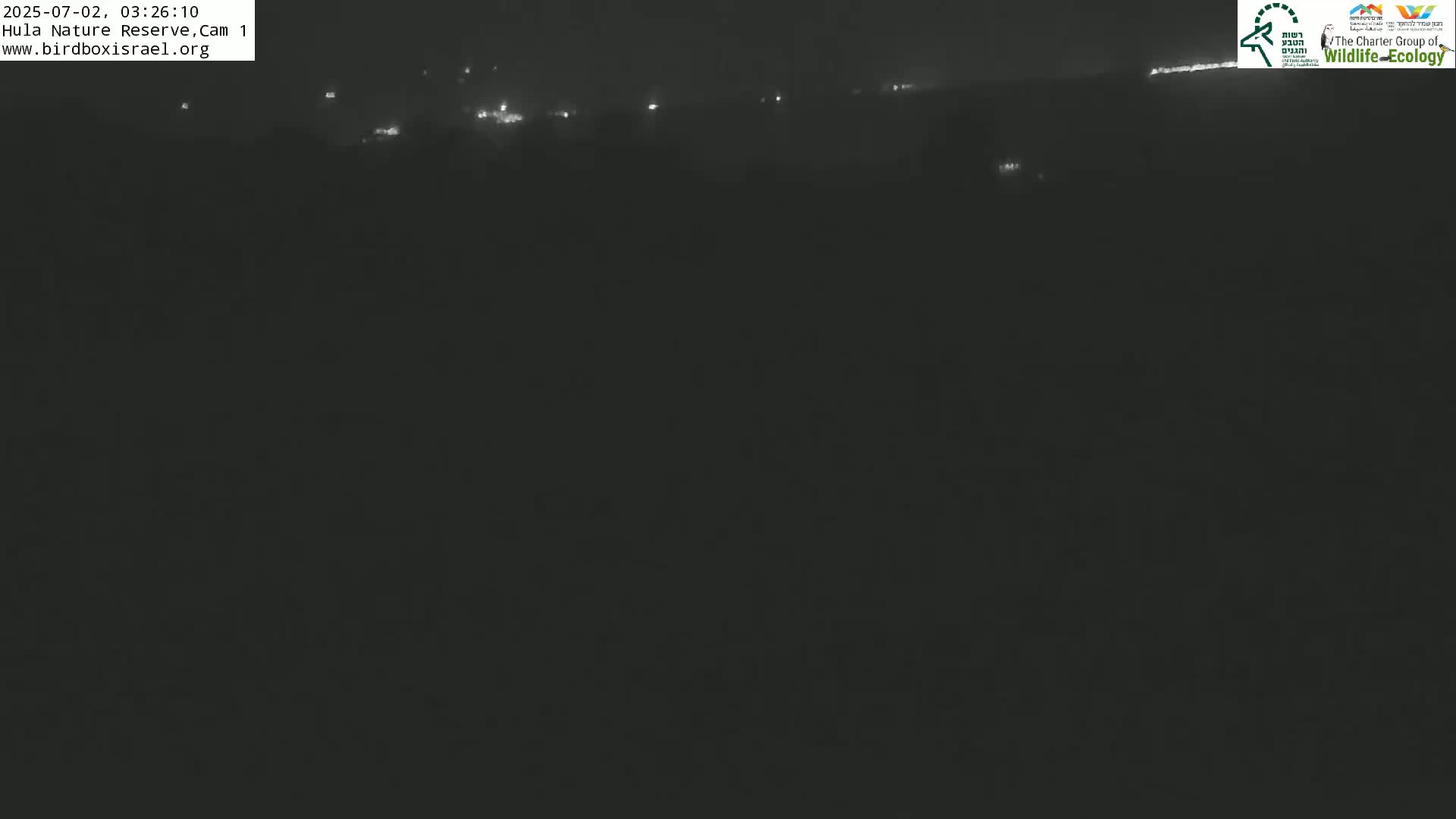 Hula Nature Reserve Bird Life & Israel-Syria Border Golan Hills & Hermon Mountain/Jabal al Shaykh View Live Cam - Yesud Hamaala, Northern, Israel
