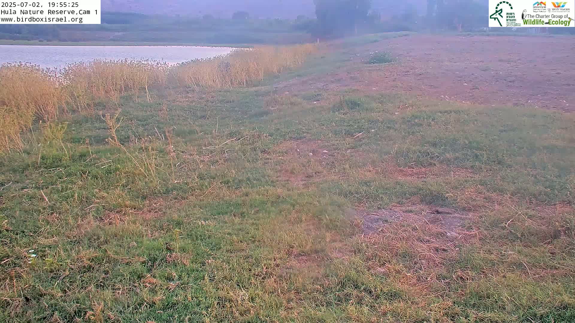 Hula Nature Reserve Bird Life & Israel-Syria Border Golan Hills & Hermon Mountain/Jabal al Shaykh View Live Cam - Yesud Hamaala, Northern, Israel