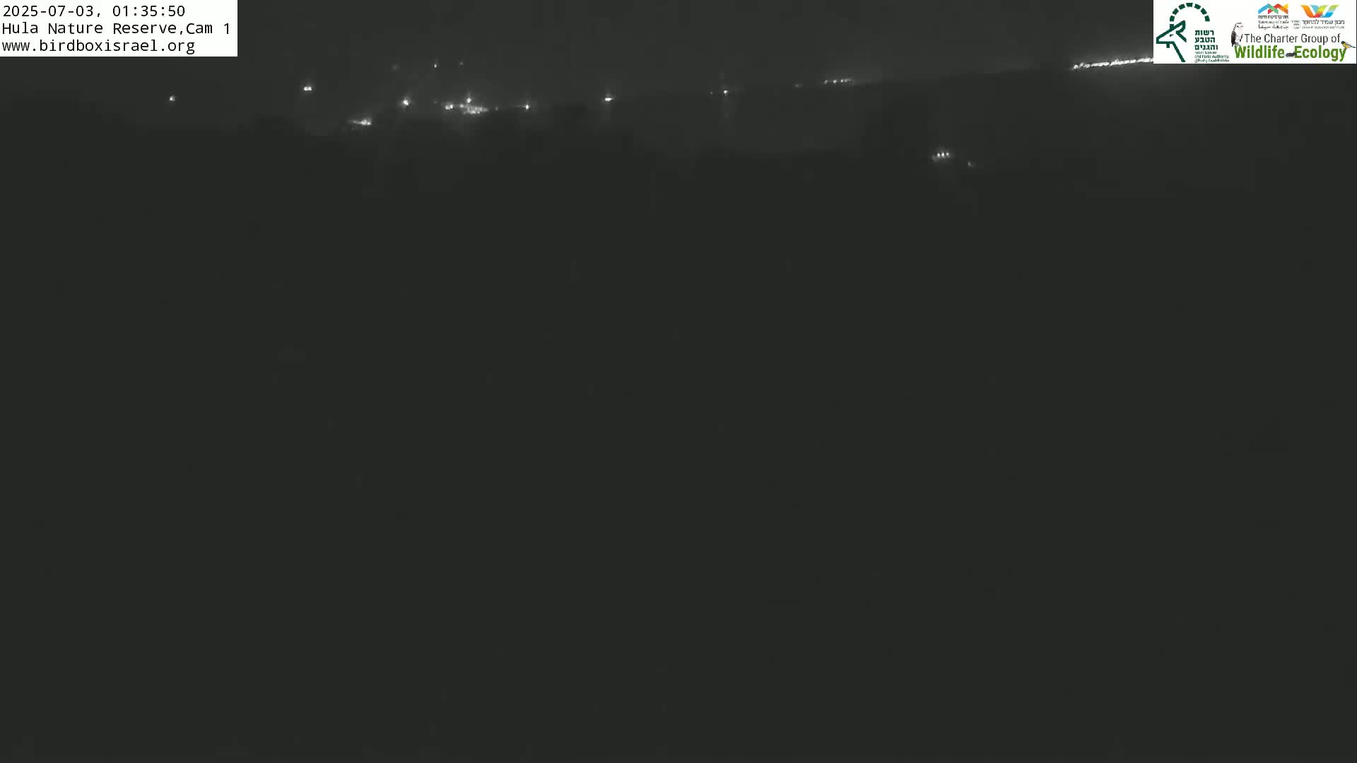 Hula Nature Reserve Bird Life & Israel-Syria Border Golan Hills & Hermon Mountain/Jabal al Shaykh View Live Cam - Yesud Hamaala, Northern, Israel