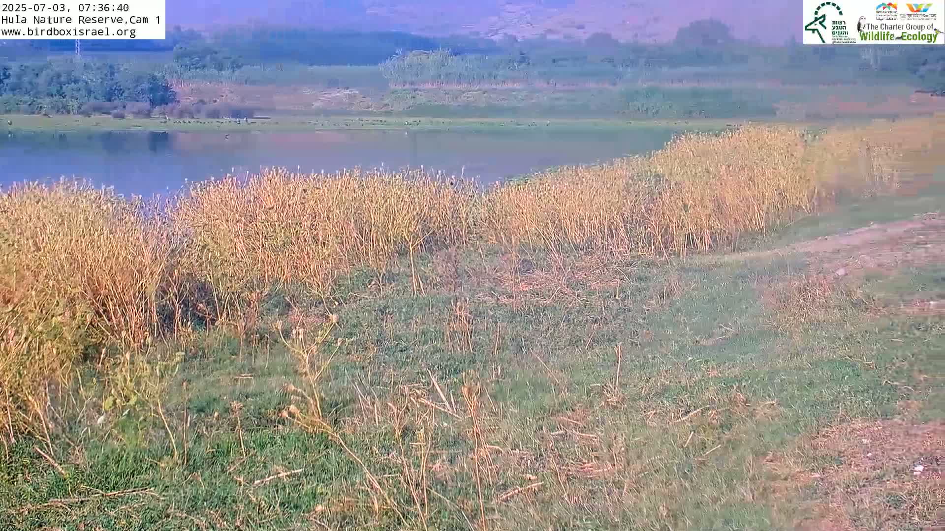 Hula Nature Reserve Bird Life & Israel-Syria Border Golan Hills & Hermon Mountain/Jabal al Shaykh View Live Cam - Yesud Hamaala, Northern, Israel