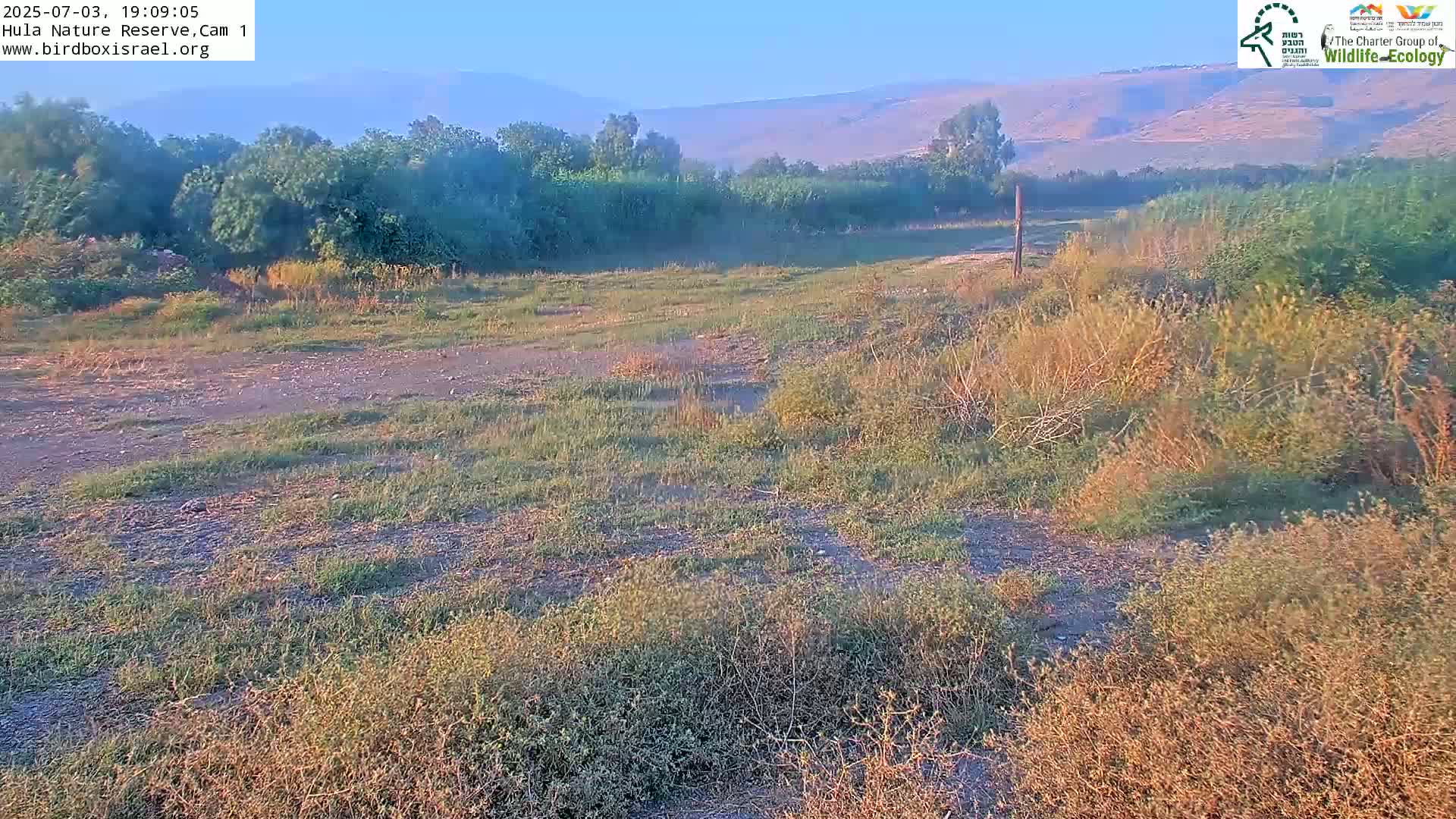 Hula Nature Reserve Bird Life & Israel-Syria Border Golan Hills & Hermon Mountain/Jabal al Shaykh View Live Cam - Yesud Hamaala, Northern, Israel