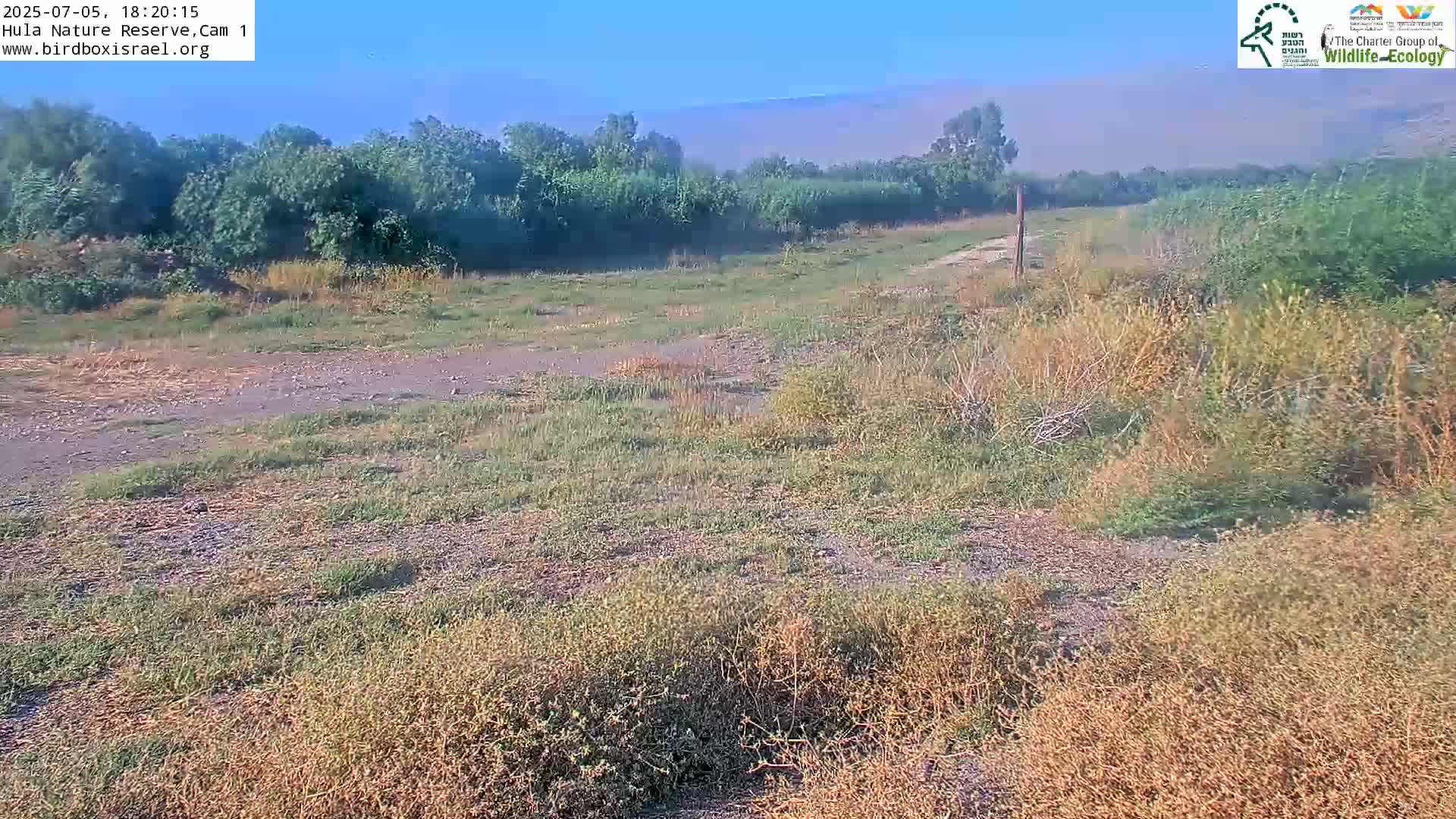 Hula Nature Reserve Bird Life & Israel-Syria Border Golan Hills & Hermon Mountain/Jabal al Shaykh View Live Cam - Yesud Hamaala, Northern, Israel