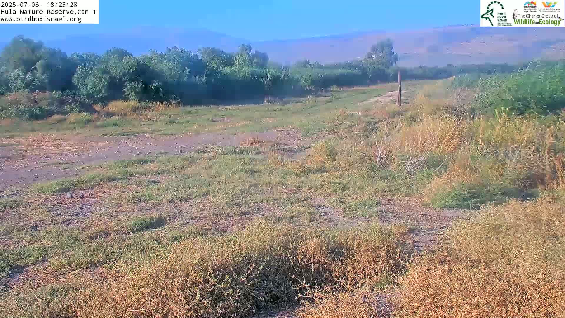 Hula Nature Reserve Bird Life & Israel-Syria Border Golan Hills & Hermon Mountain/Jabal al Shaykh View Live Cam - Yesud Hamaala, Northern, Israel