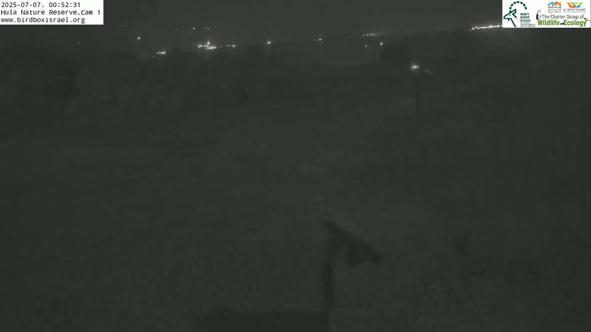 Hula Nature Reserve Bird Life & Israel-Syria Border Golan Hills & Hermon Mountain/Jabal al Shaykh View Live Cam - Yesud Hamaala, Northern, Israel