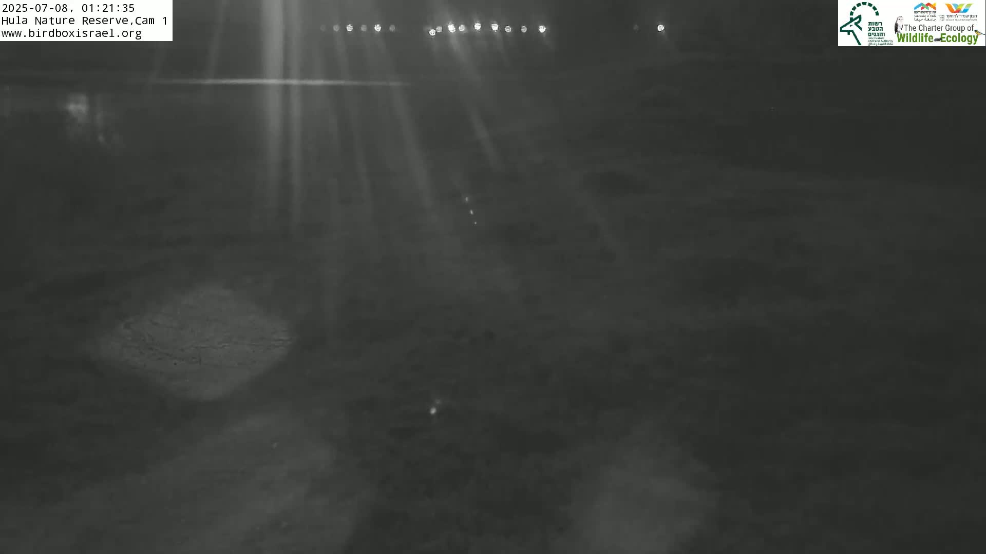 Hula Nature Reserve Bird Life & Israel-Syria Border Golan Hills & Hermon Mountain/Jabal al Shaykh View Live Cam - Yesud Hamaala, Northern, Israel