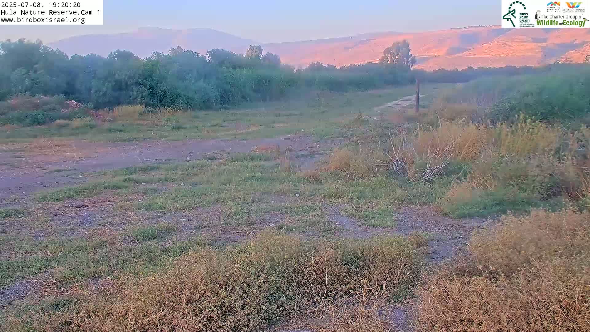 Hula Nature Reserve Bird Life & Israel-Syria Border Golan Hills & Hermon Mountain/Jabal al Shaykh View Live Cam - Yesud Hamaala, Northern, Israel