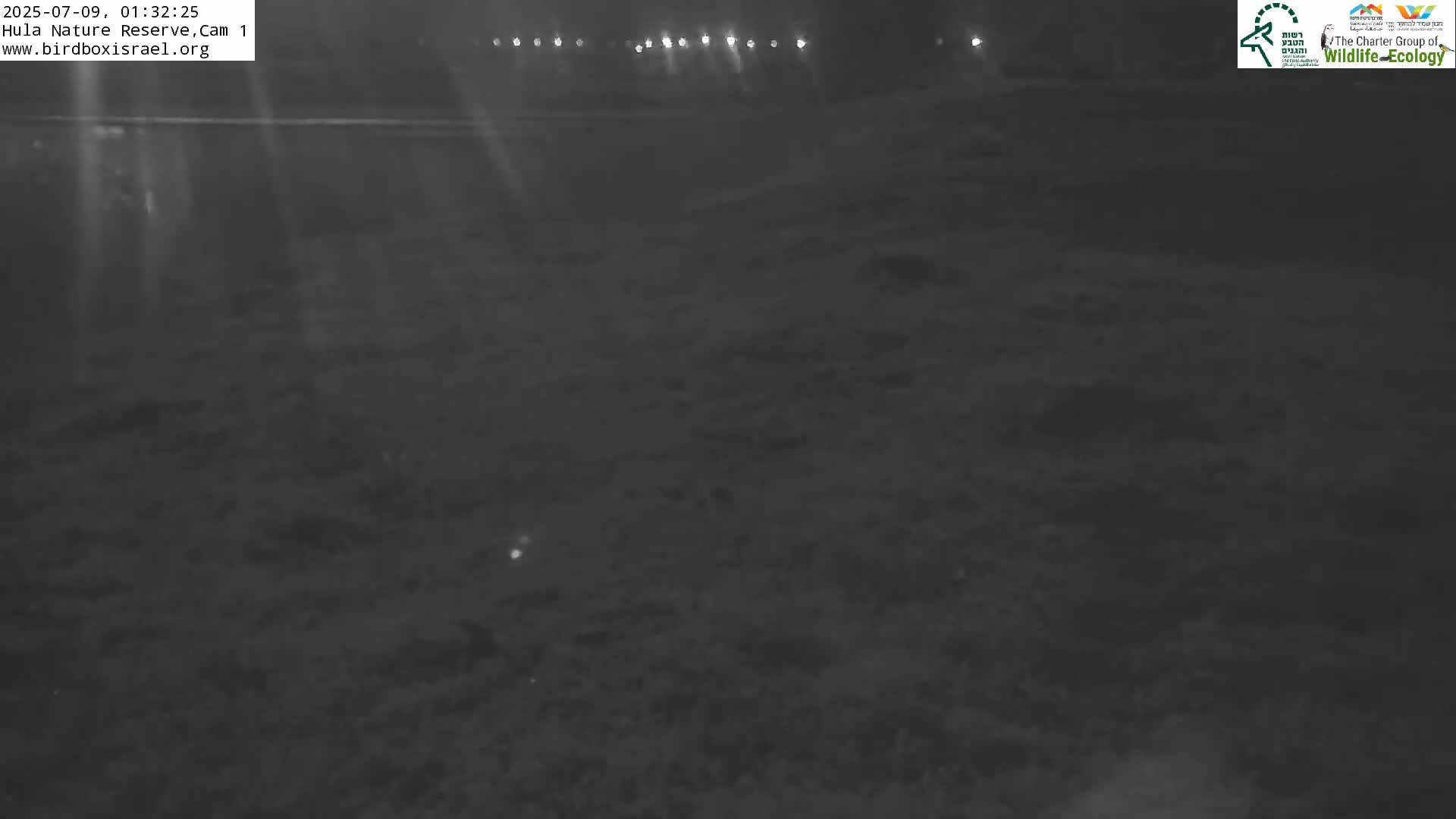 Hula Nature Reserve Bird Life & Israel-Syria Border Golan Hills & Hermon Mountain/Jabal al Shaykh View Live Cam - Yesud Hamaala, Northern, Israel