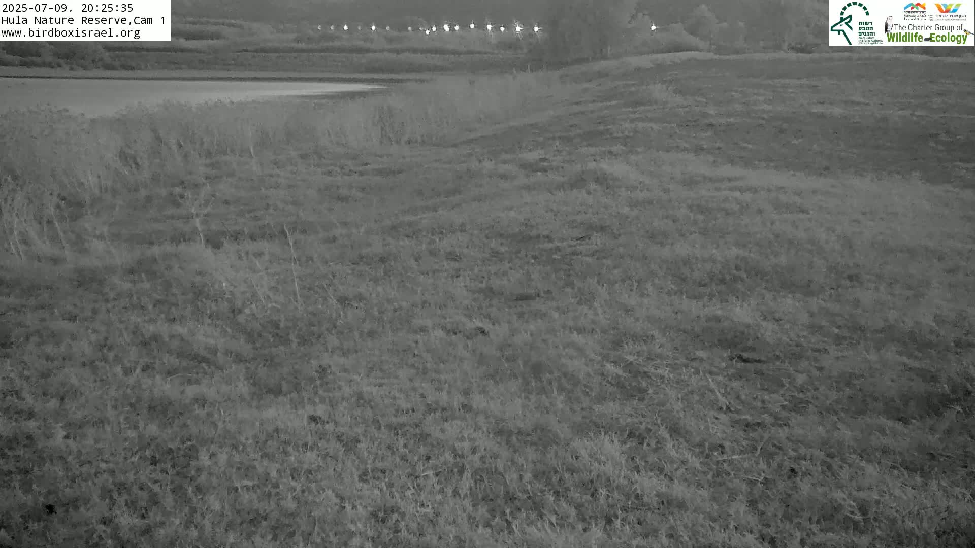 Hula Nature Reserve Bird Life & Israel-Syria Border Golan Hills & Hermon Mountain/Jabal al Shaykh View Live Cam - Yesud Hamaala, Northern, Israel
