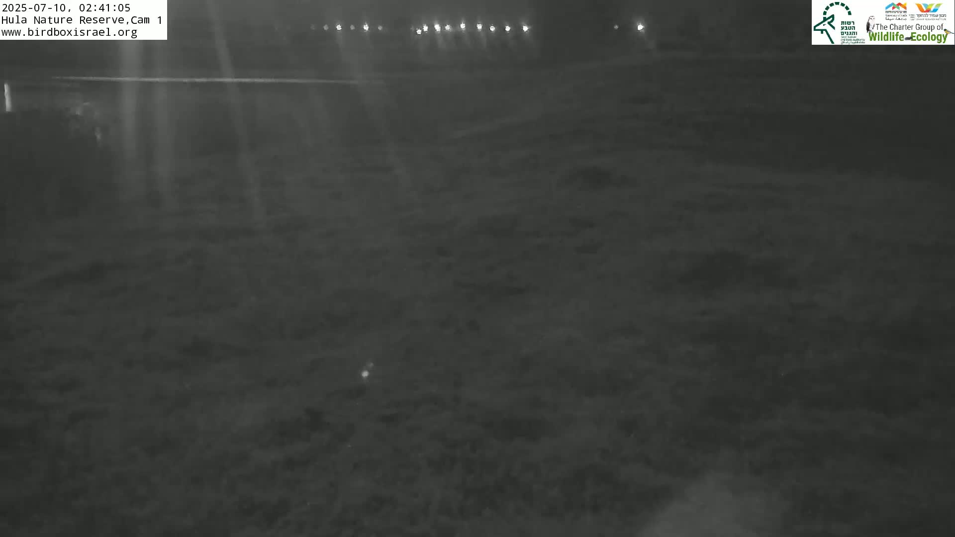 Hula Nature Reserve Bird Life & Israel-Syria Border Golan Hills & Hermon Mountain/Jabal al Shaykh View Live Cam - Yesud Hamaala, Northern, Israel