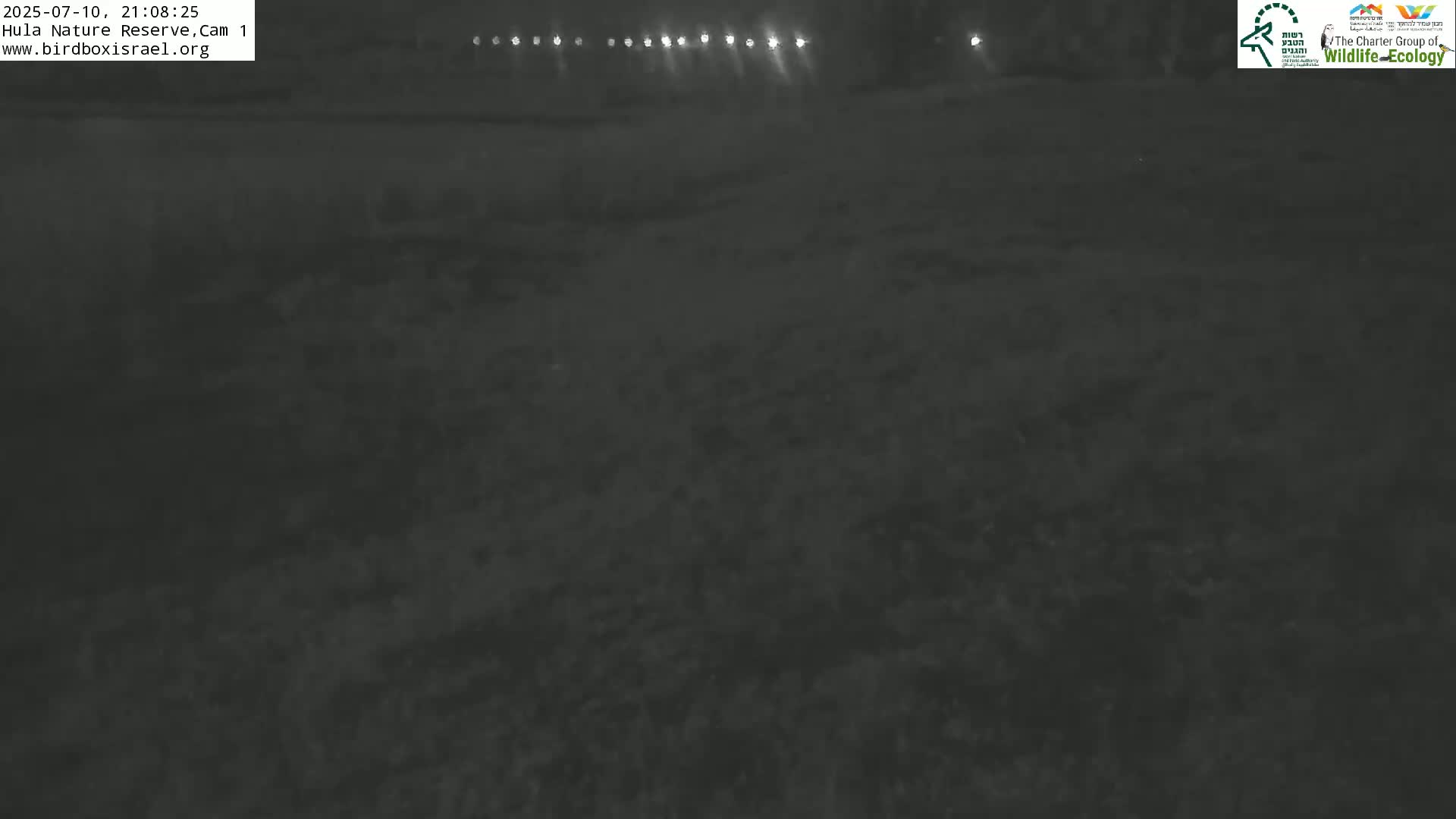 Hula Nature Reserve Bird Life & Israel-Syria Border Golan Hills & Hermon Mountain/Jabal al Shaykh View Live Cam - Yesud Hamaala, Northern, Israel