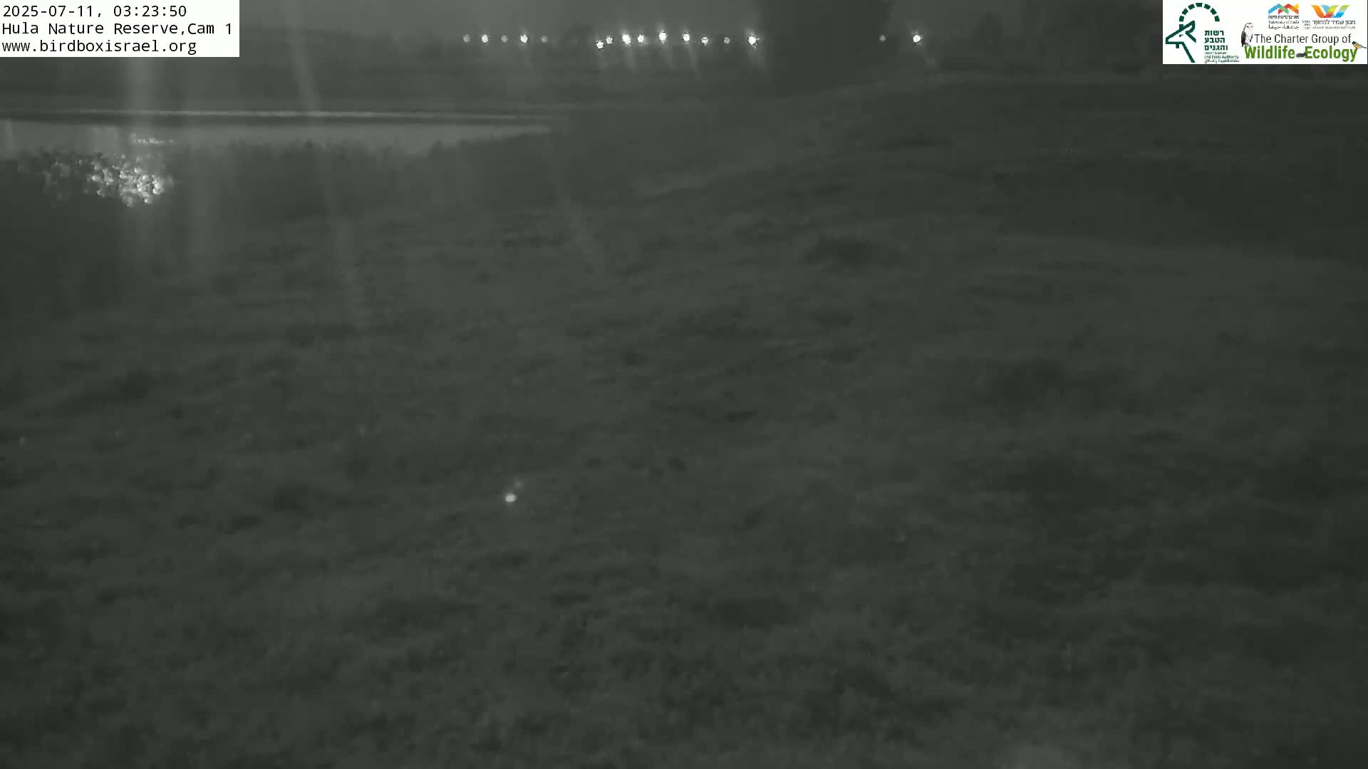 Hula Nature Reserve Bird Life & Israel-Syria Border Golan Hills & Hermon Mountain/Jabal al Shaykh View Live Cam - Yesud Hamaala, Northern, Israel