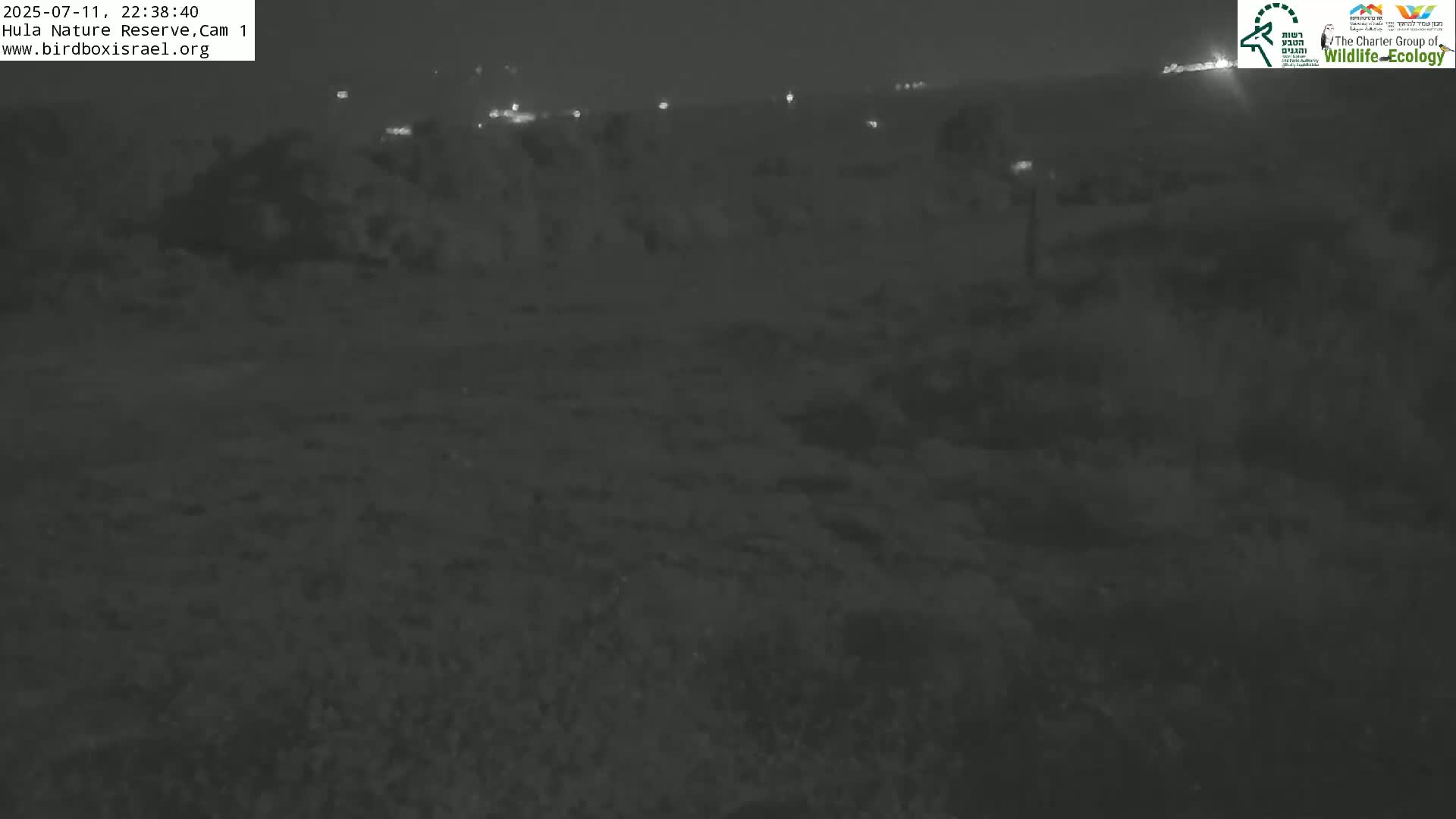 Hula Nature Reserve Bird Life & Israel-Syria Border Golan Hills & Hermon Mountain/Jabal al Shaykh View Live Cam - Yesud Hamaala, Northern, Israel
