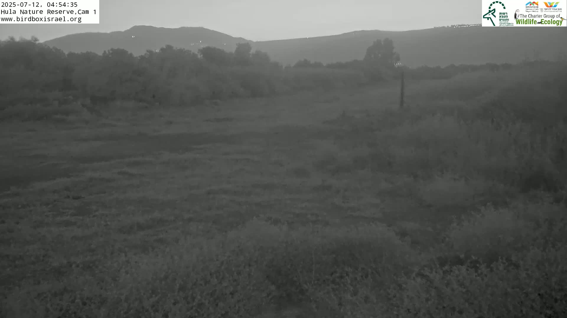 Hula Nature Reserve Bird Life & Israel-Syria Border Golan Hills & Hermon Mountain/Jabal al Shaykh View Live Cam - Yesud Hamaala, Northern, Israel