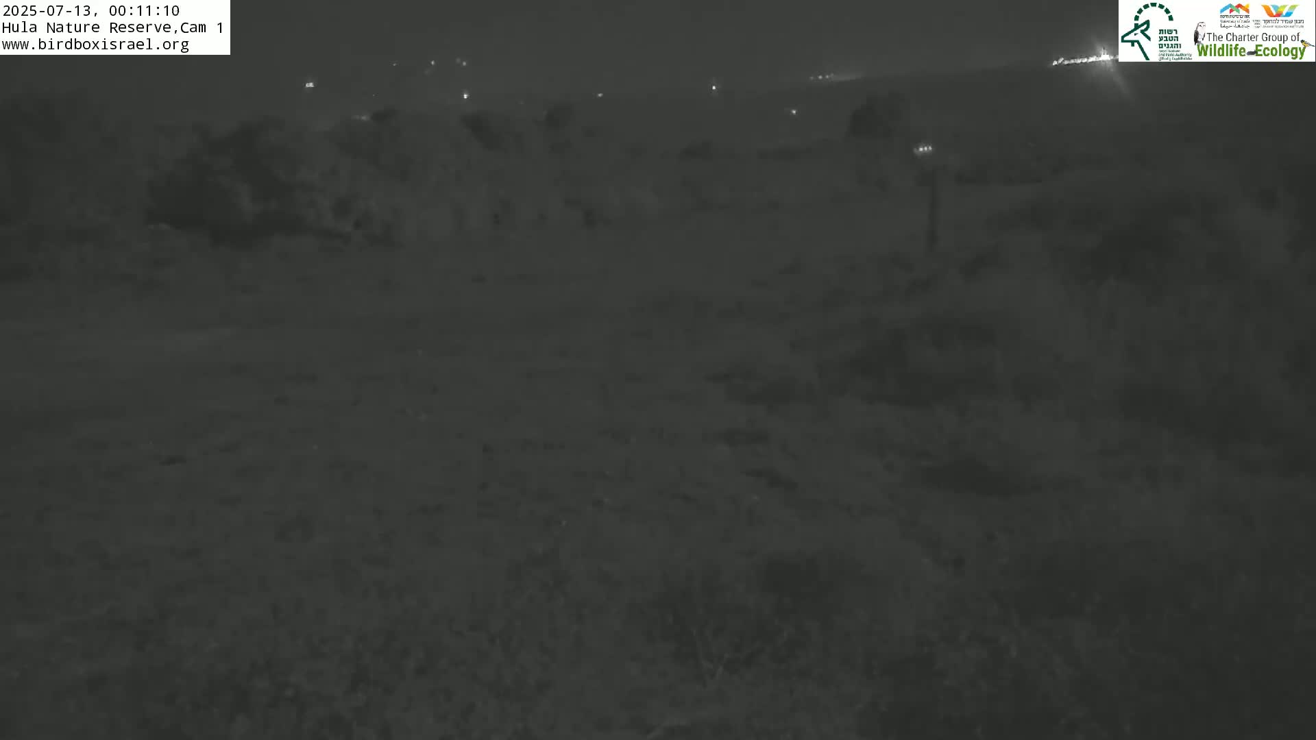Hula Nature Reserve Bird Life & Israel-Syria Border Golan Hills & Hermon Mountain/Jabal al Shaykh View Live Cam - Yesud Hamaala, Northern, Israel