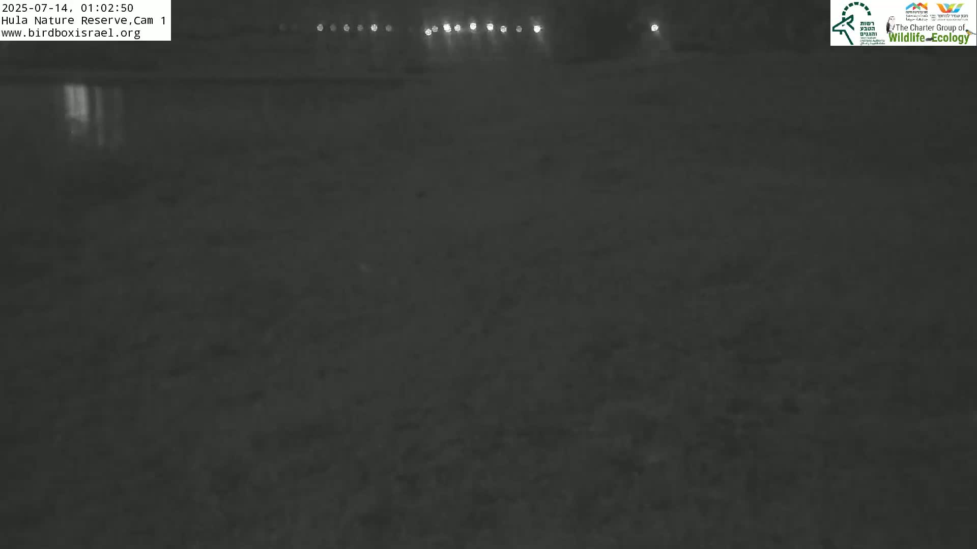 Hula Nature Reserve Bird Life & Israel-Syria Border Golan Hills & Hermon Mountain/Jabal al Shaykh View Live Cam - Yesud Hamaala, Northern, Israel
