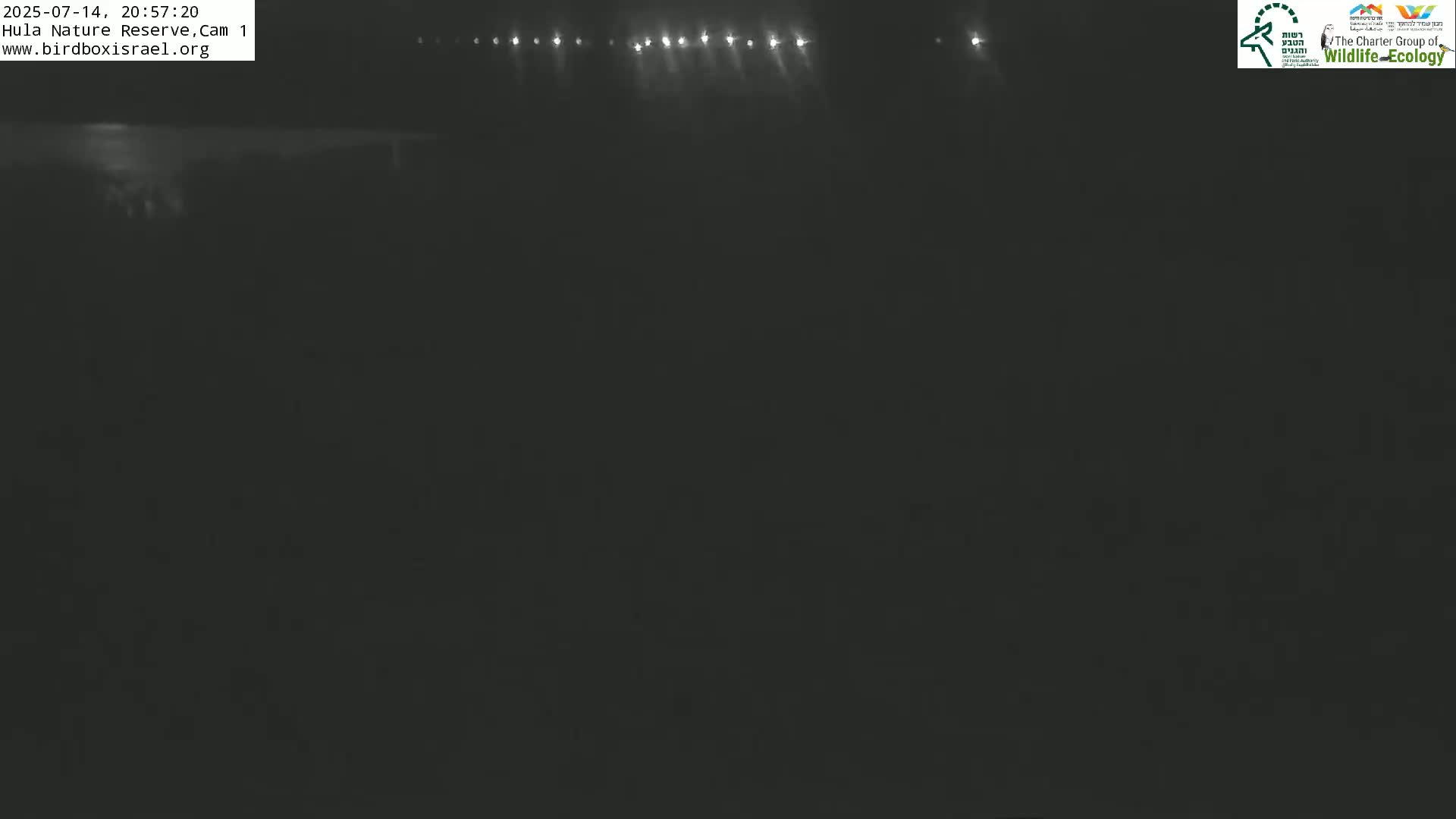 Hula Nature Reserve Bird Life & Israel-Syria Border Golan Hills & Hermon Mountain/Jabal al Shaykh View Live Cam - Yesud Hamaala, Northern, Israel
