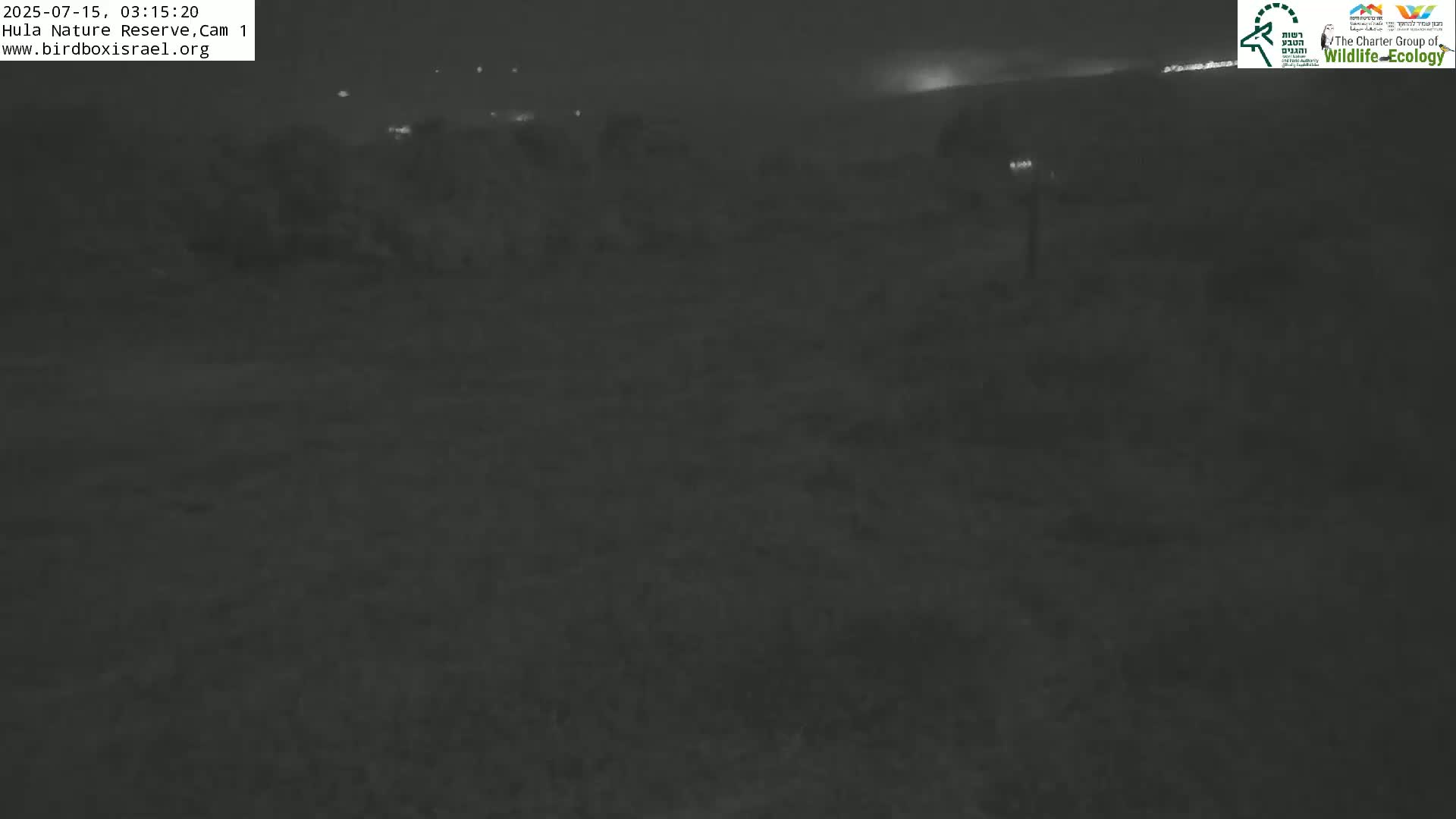 Hula Nature Reserve Bird Life & Israel-Syria Border Golan Hills & Hermon Mountain/Jabal al Shaykh View Live Cam - Yesud Hamaala, Northern, Israel