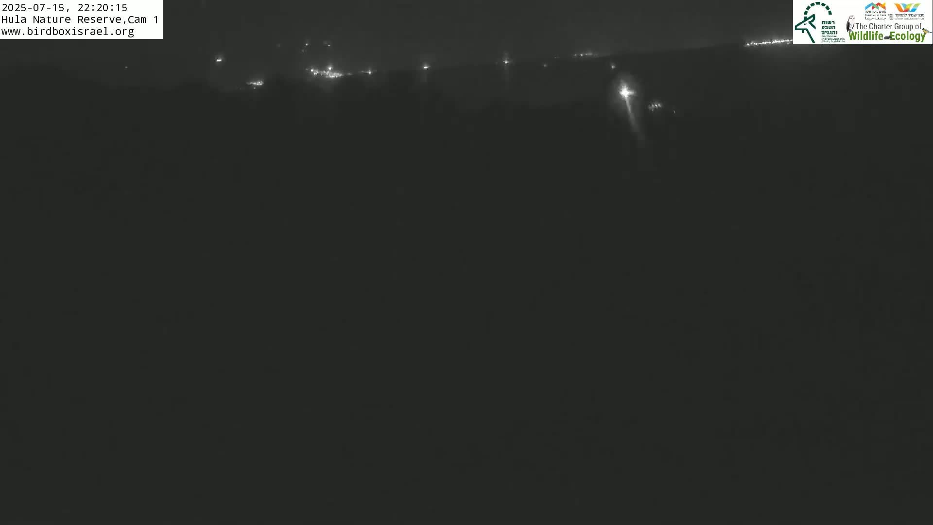 Hula Nature Reserve Bird Life & Israel-Syria Border Golan Hills & Hermon Mountain/Jabal al Shaykh View Live Cam - Yesud Hamaala, Northern, Israel