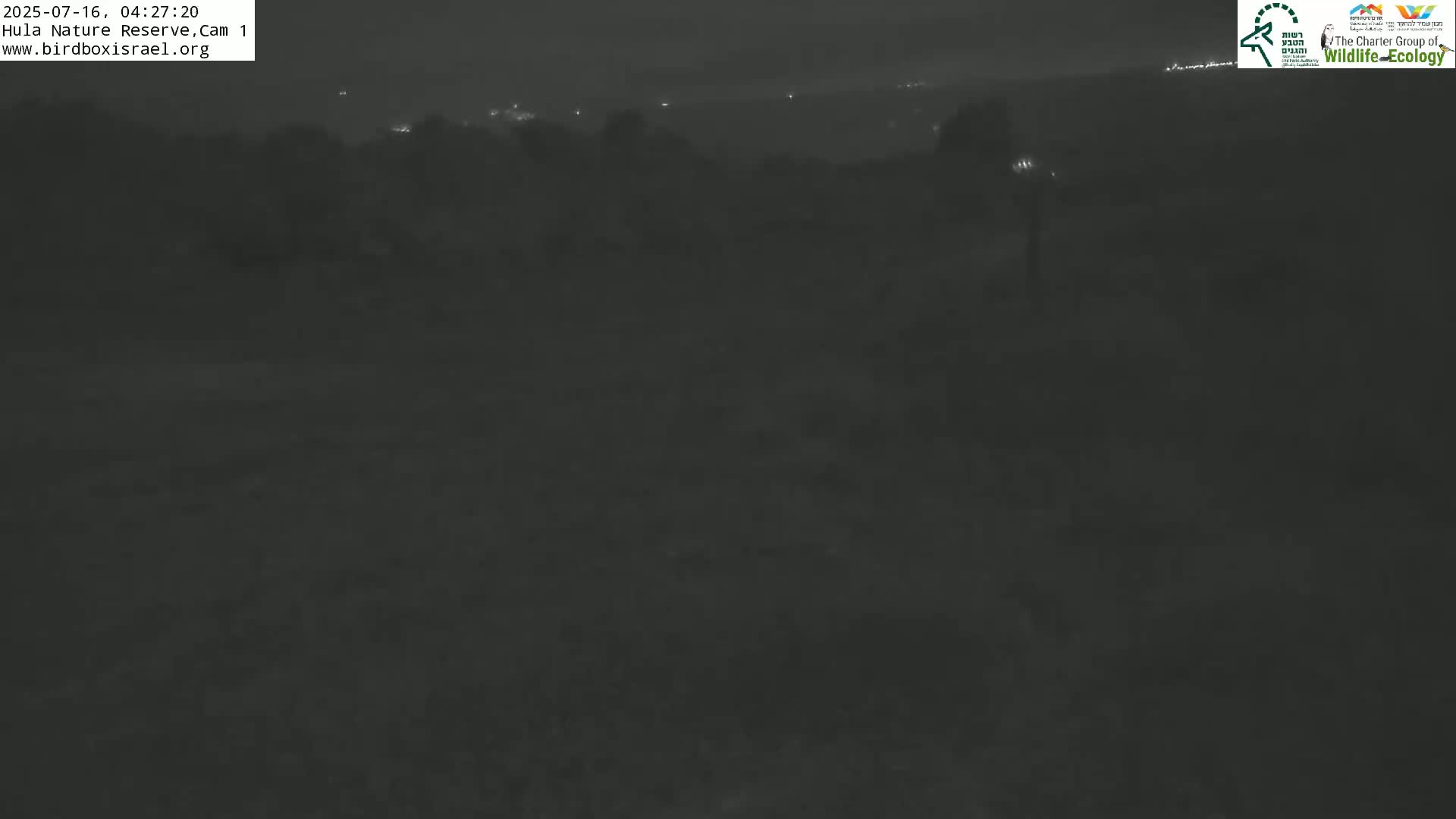 Hula Nature Reserve Bird Life & Israel-Syria Border Golan Hills & Hermon Mountain/Jabal al Shaykh View Live Cam - Yesud Hamaala, Northern, Israel