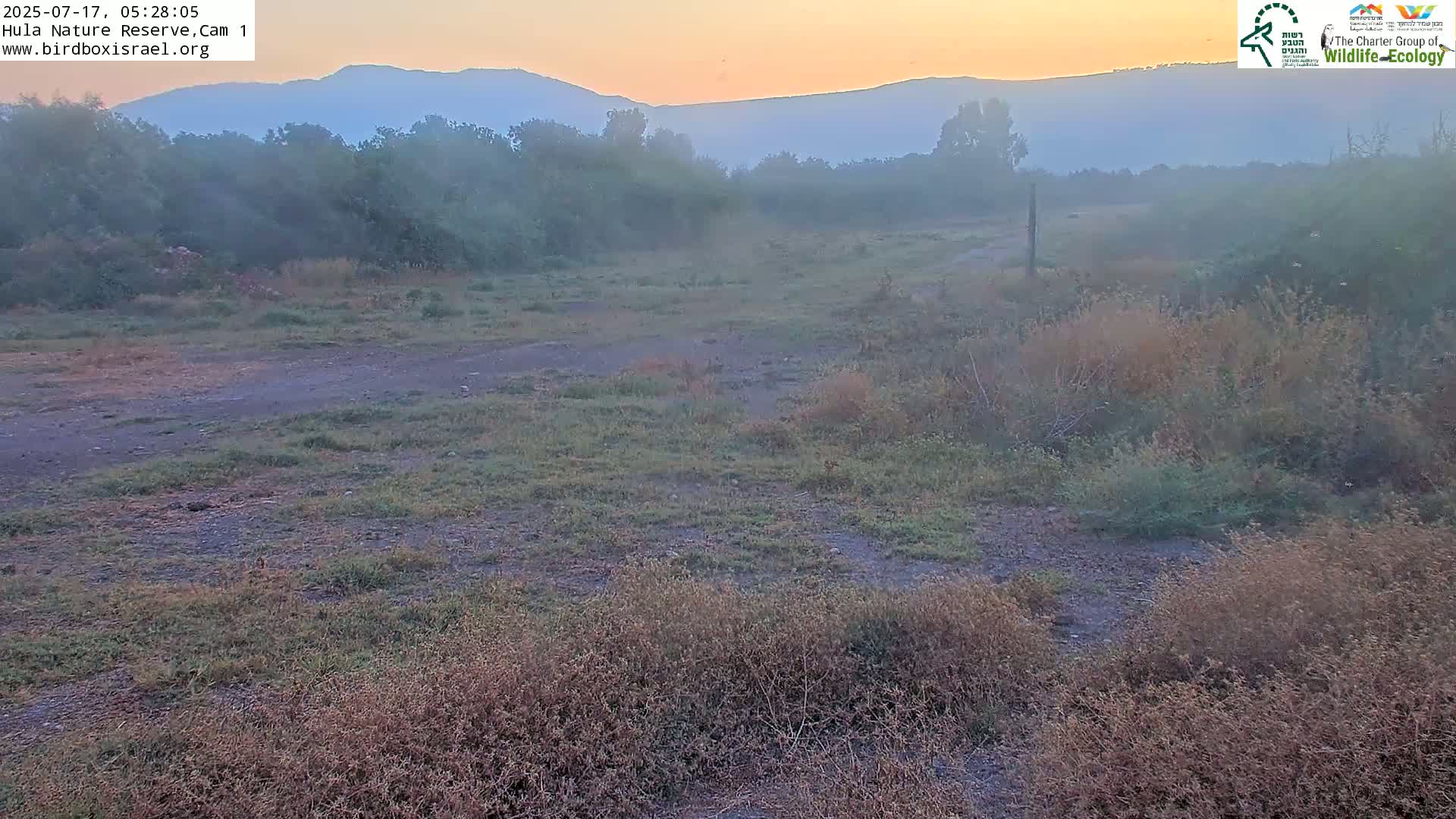 Hula Nature Reserve Bird Life & Israel-Syria Border Golan Hills & Hermon Mountain/Jabal al Shaykh View Live Cam - Yesud Hamaala, Northern, Israel